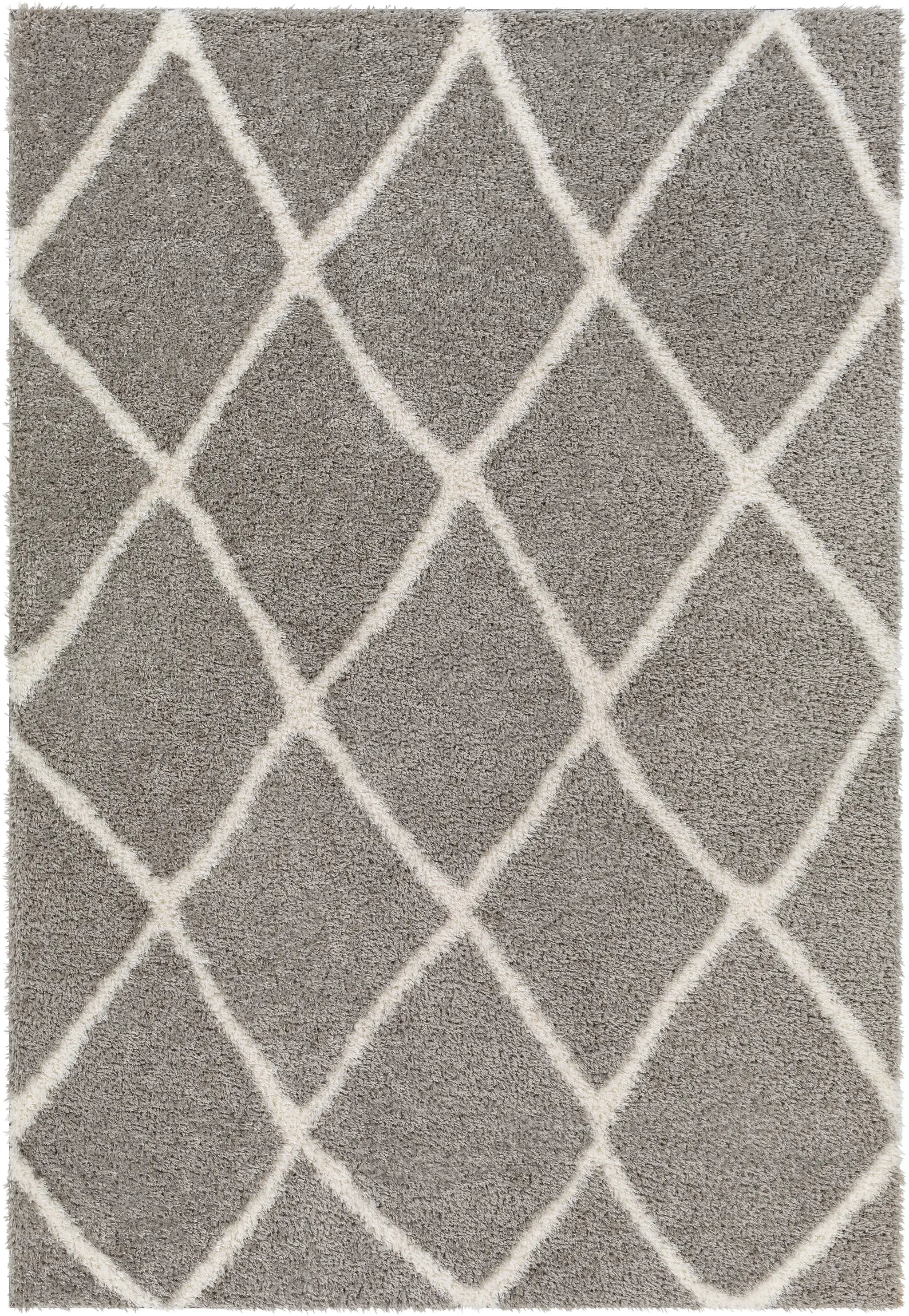 Cloudy Shag CDG-2313 Charcoal Area Rug by LIVABLISS