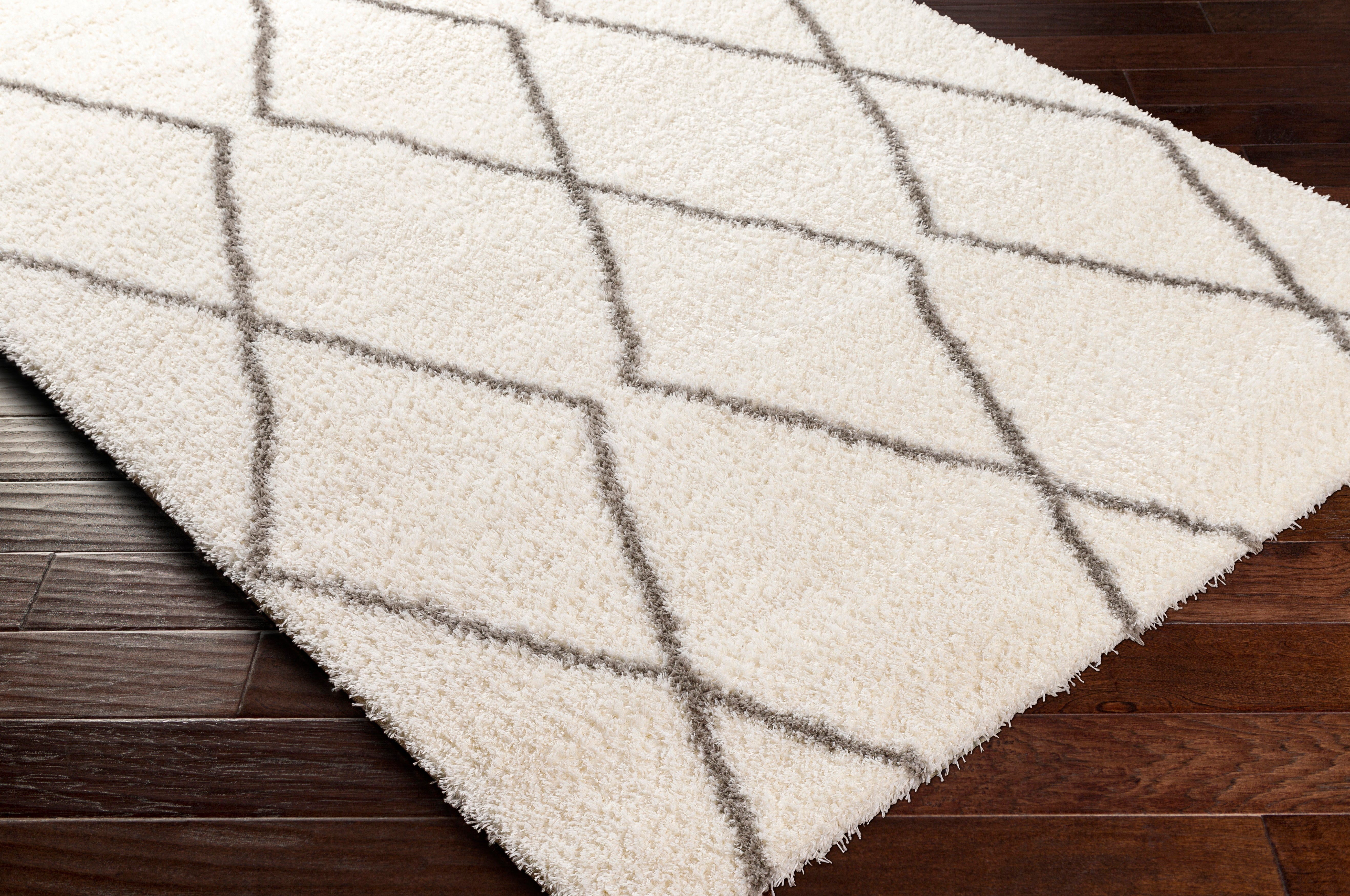 Surya Cloudy Shag CDG-2317 Off-White Area Rug by LIVABLISS