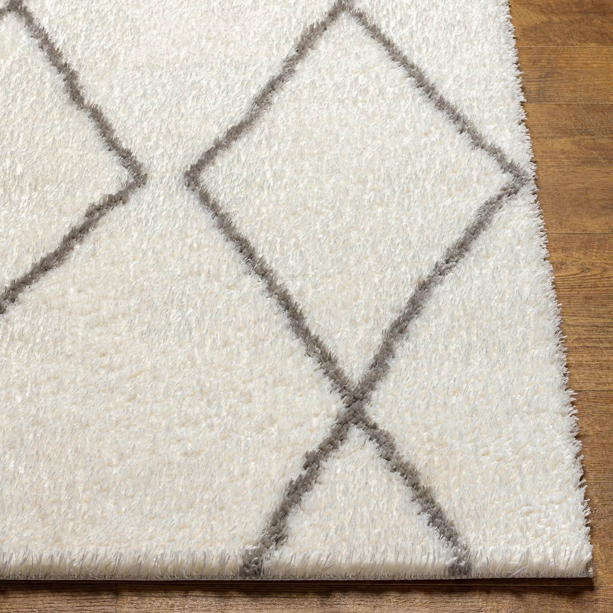 Cloudy Shag CDG-2317 Off-White Area Rug by LIVABLISS