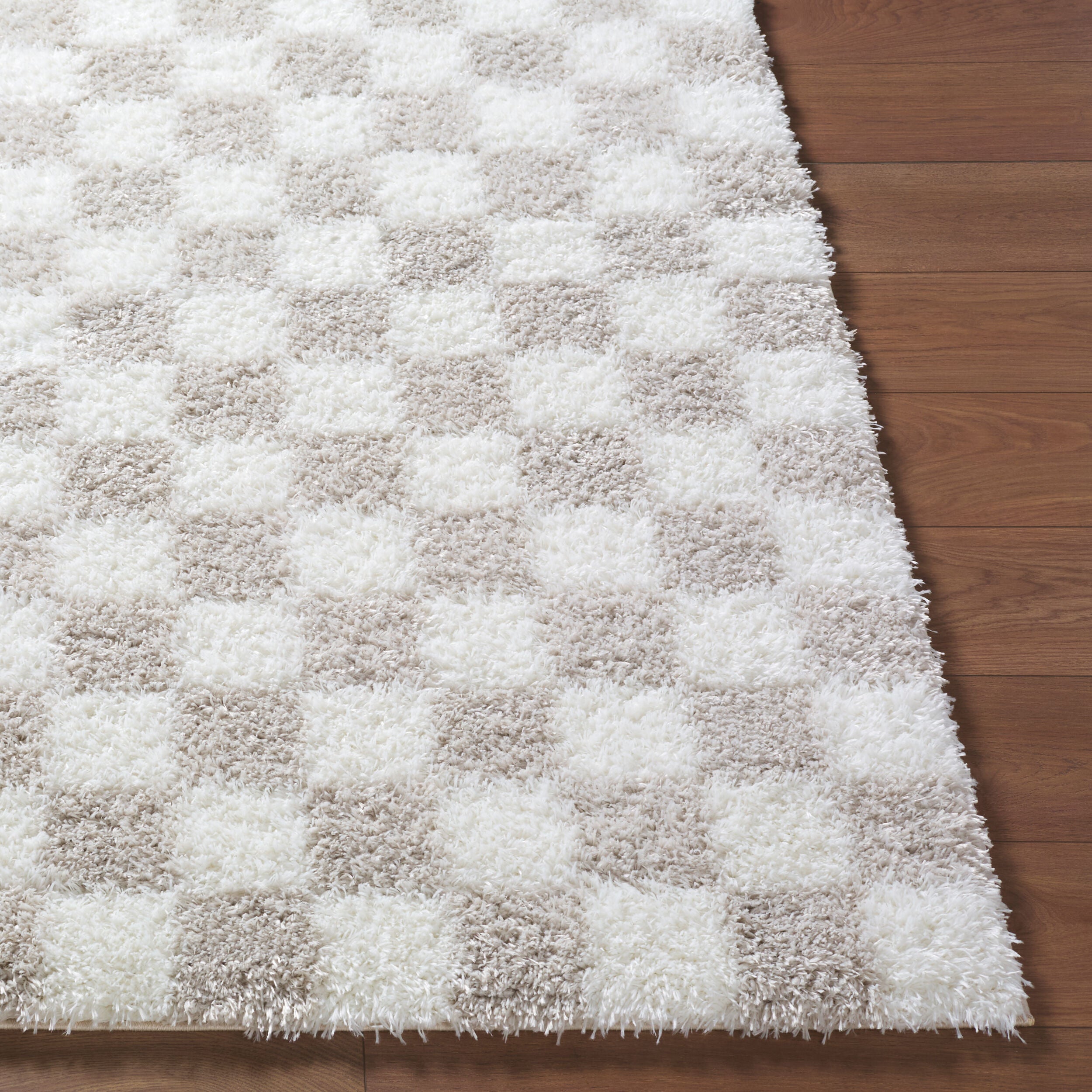 Surya Cloudy Shag CDG-2330 Ivory Area Rug by LIVABLISS
