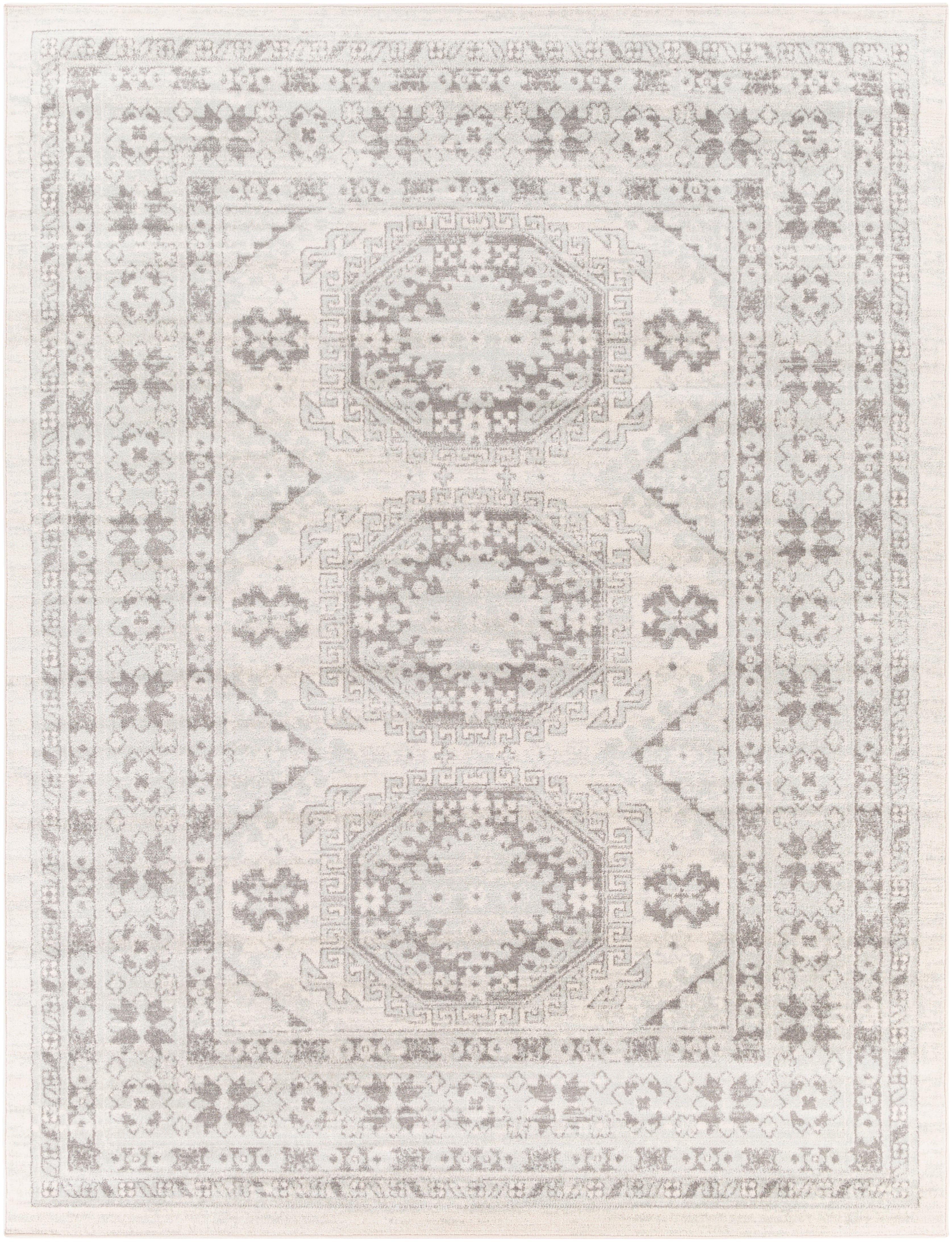 Surya Chester CHE-2309 Beige Area Rug by LIVABLISS