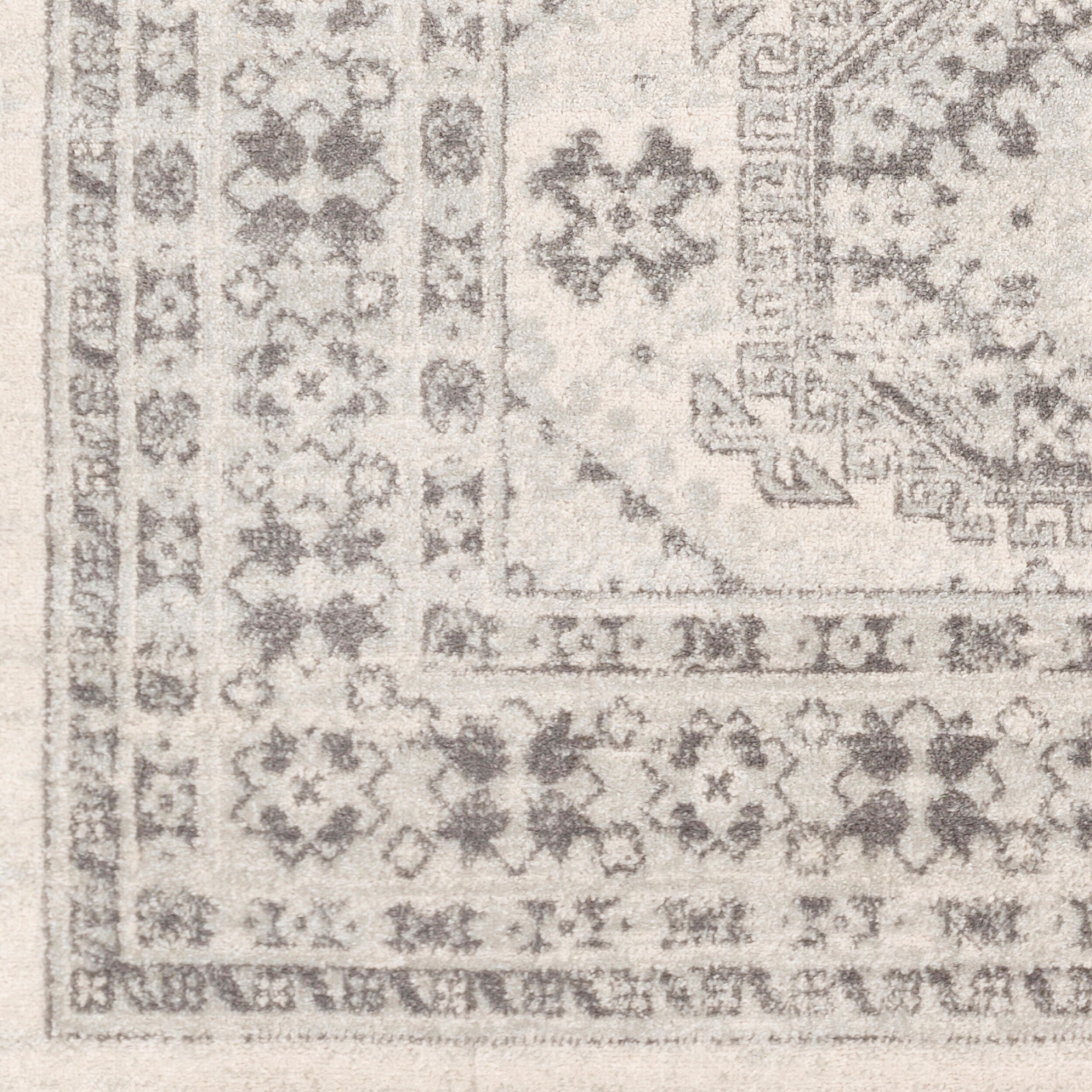 Surya Chester CHE-2309 Beige Area Rug by LIVABLISS