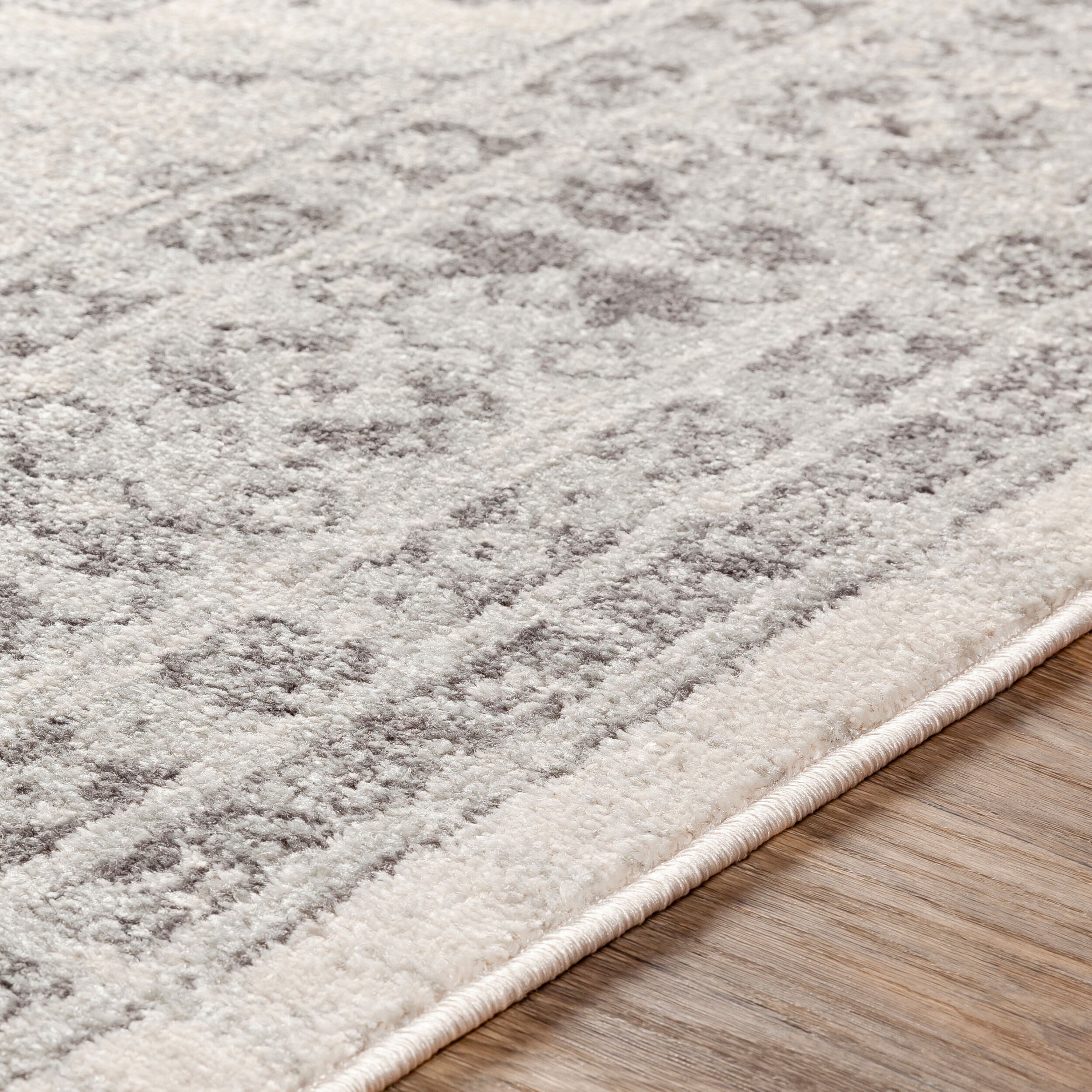 Surya Chester CHE-2309 Beige Area Rug by LIVABLISS