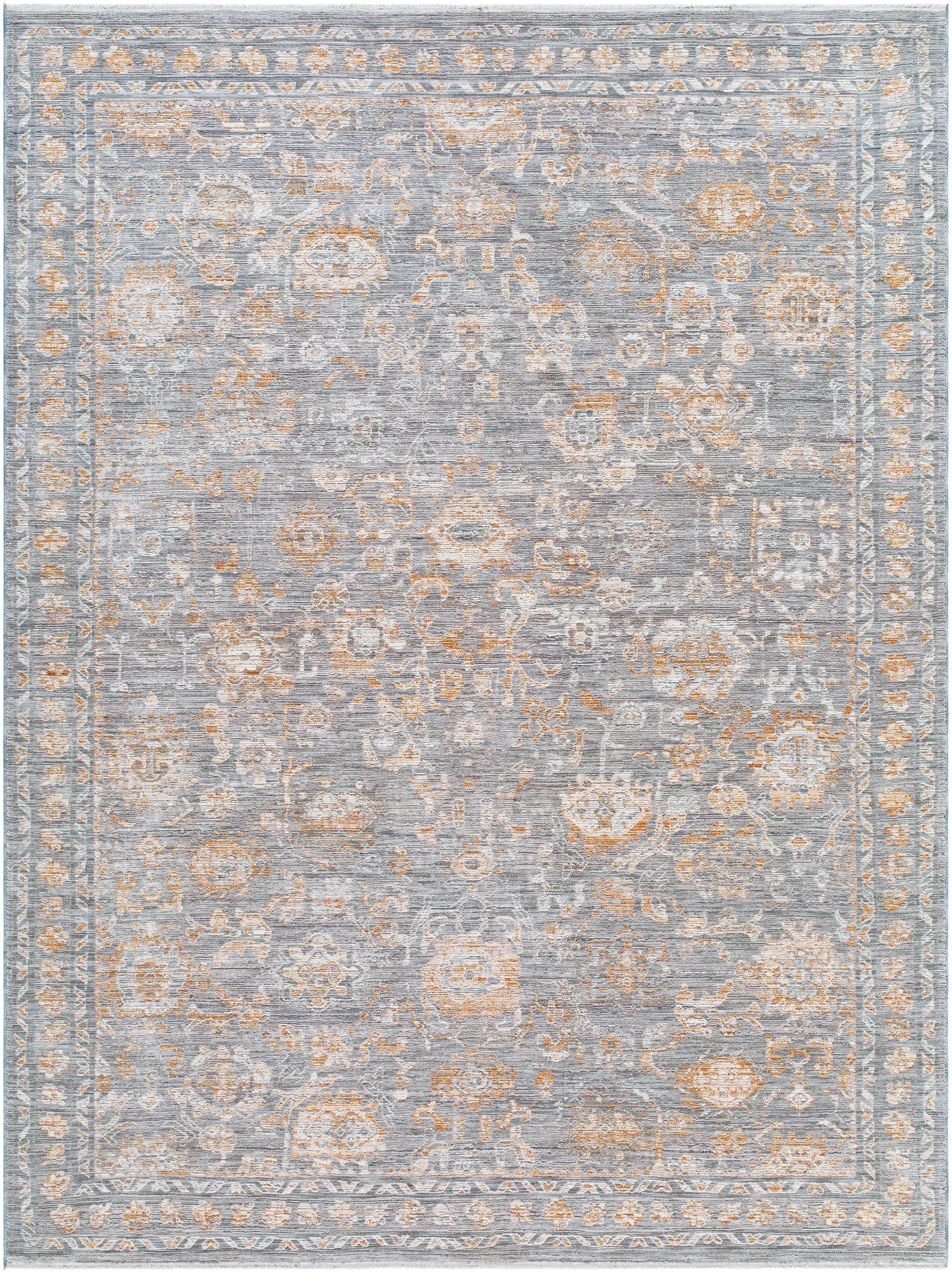 Chapel Hill CHP-2302 Gray Area Rug by LIVABLISS