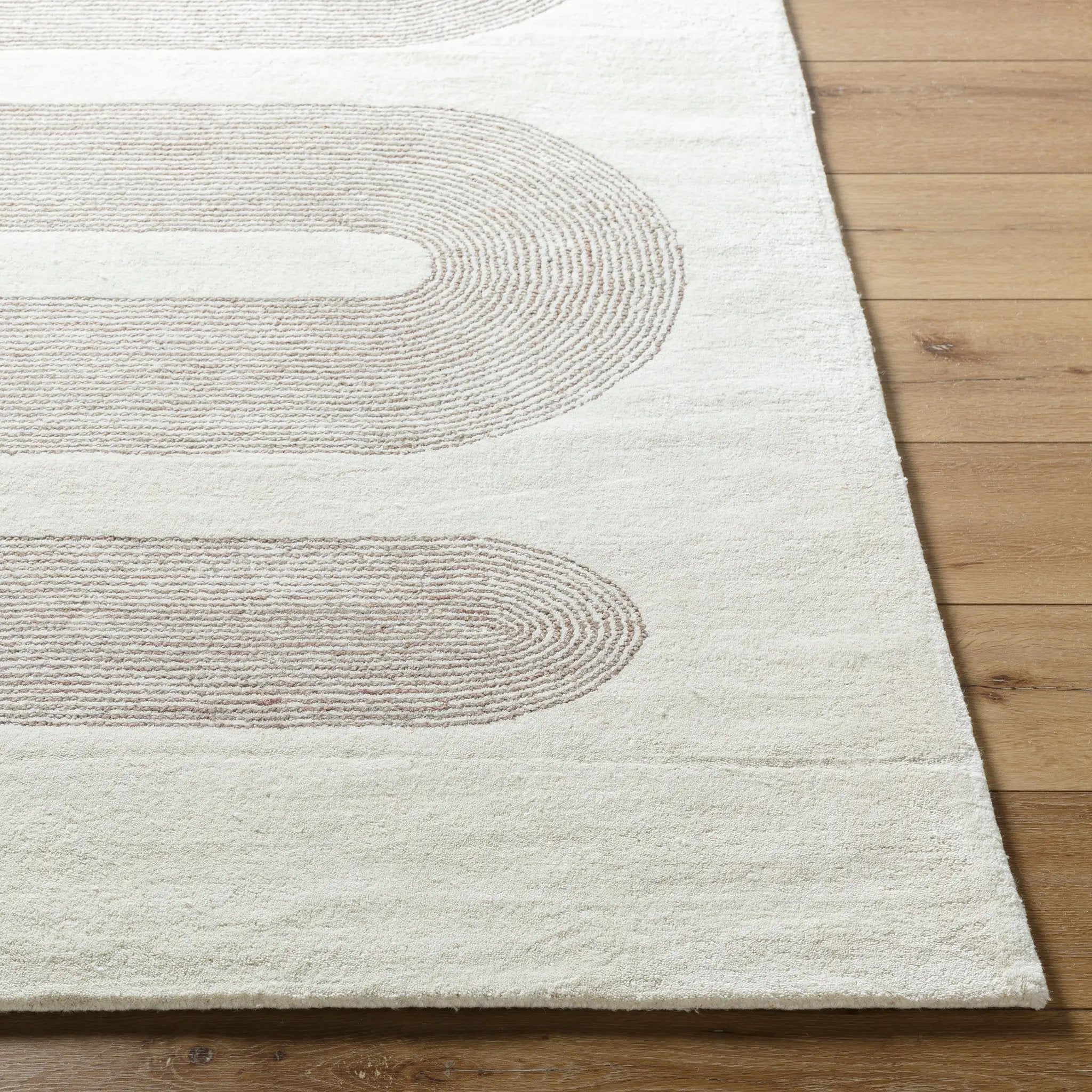 Carolena CRA-2300 Ivory Area Rug by LIVABLISS