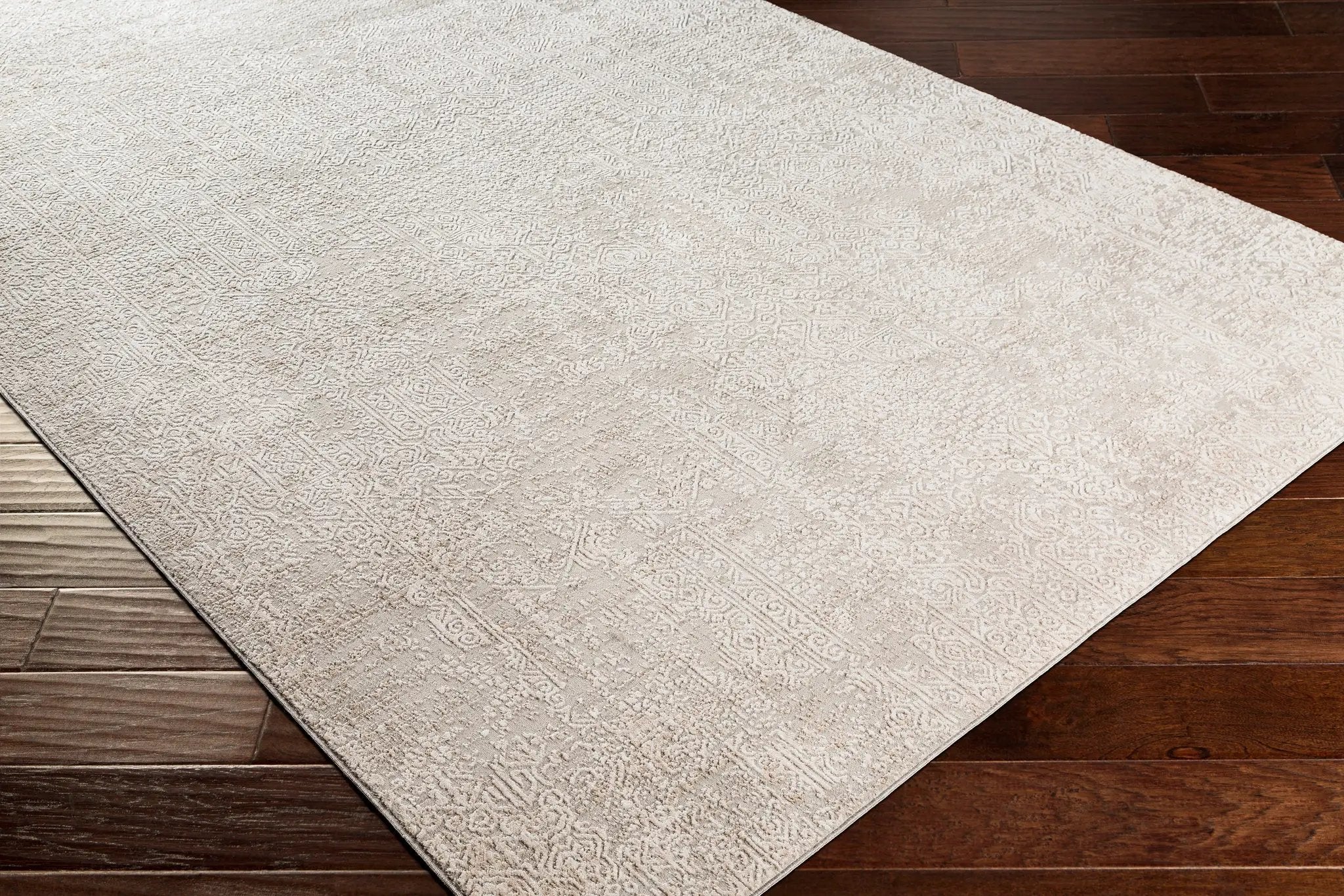 Carmel CRL-2300 Light-Gray Area Rug by LIVABLISS