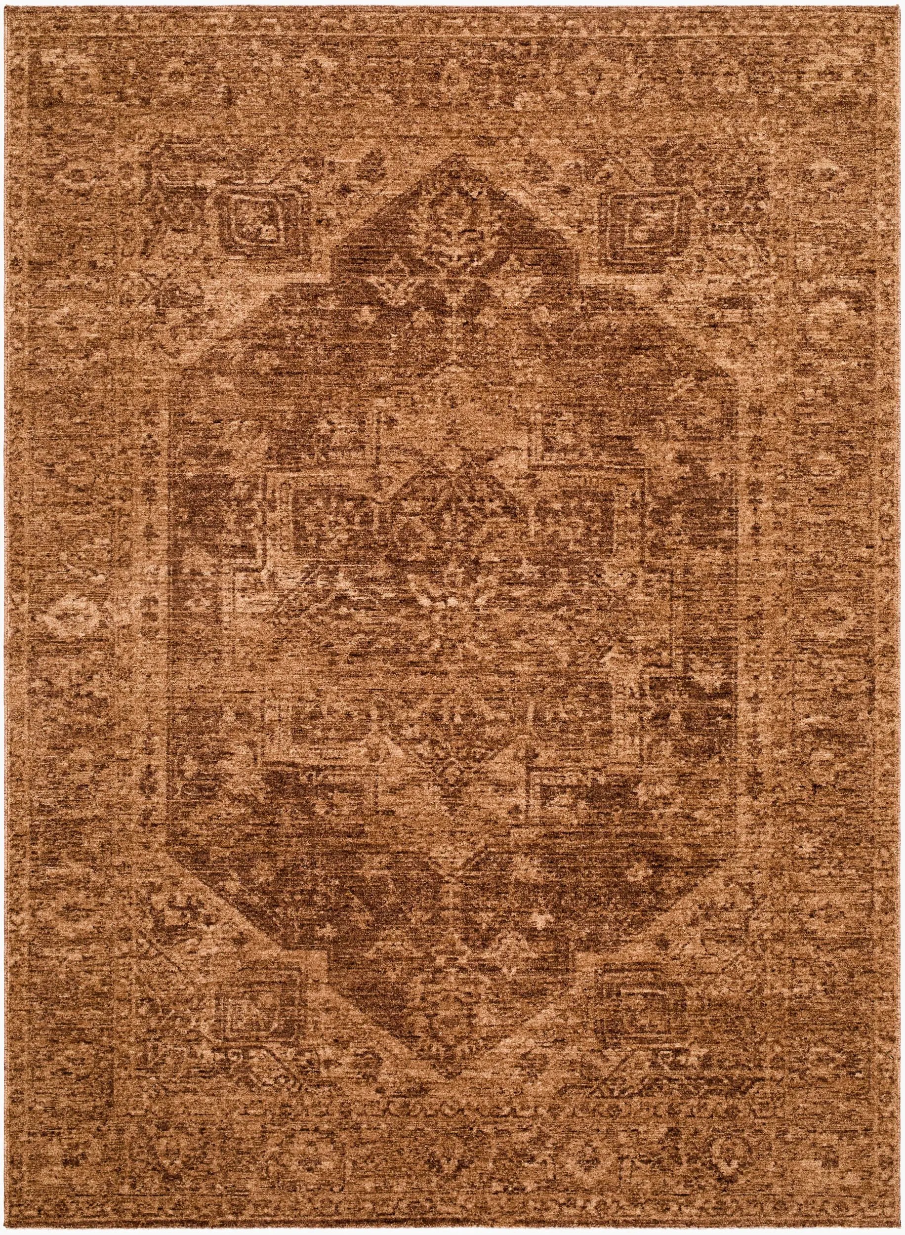 Cyrus CYR-2300 Brown Area Rug by LIVABLISS