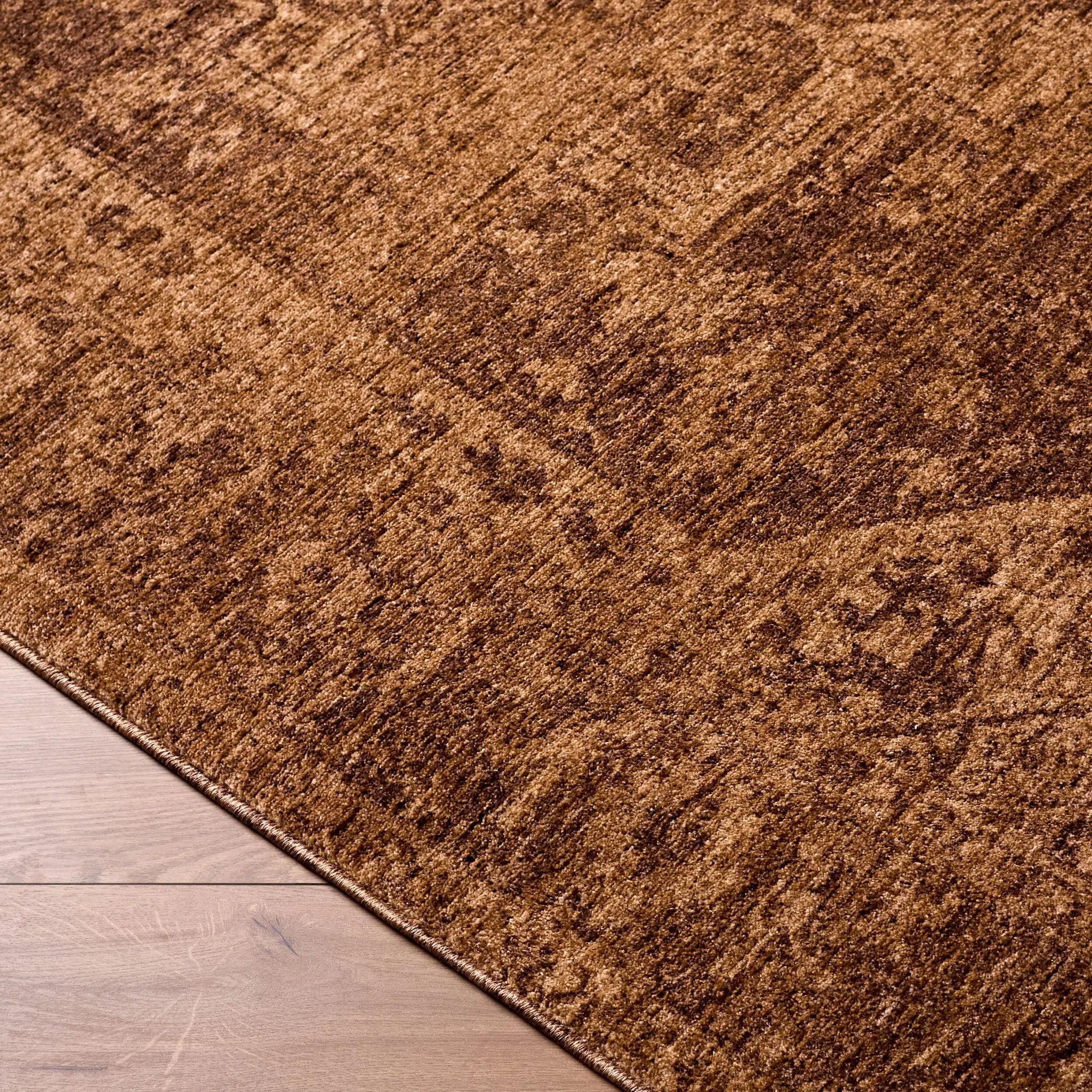 Cyrus CYR-2300 Brown Area Rug by LIVABLISS
