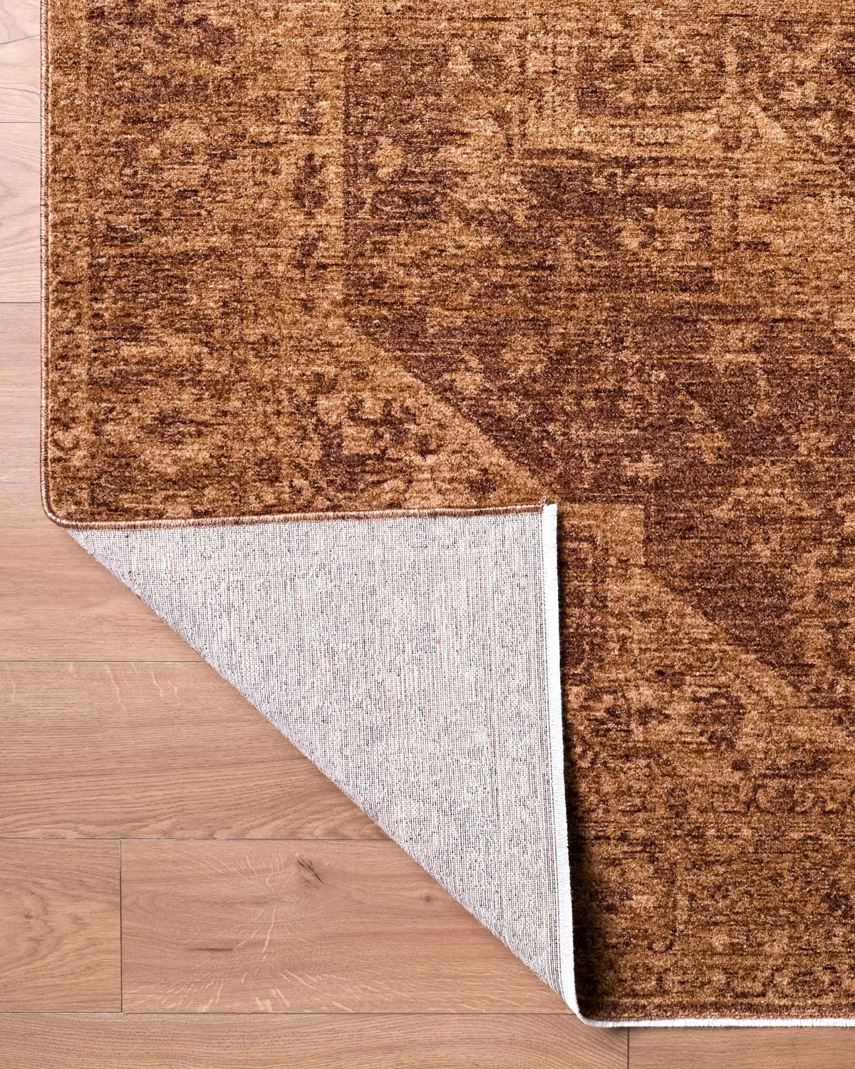 Cyrus CYR-2300 Brown Area Rug by LIVABLISS