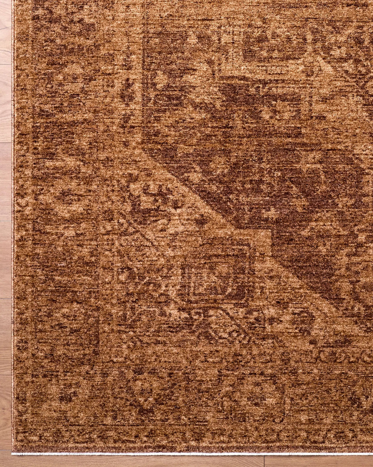 Cyrus CYR-2300 Brown Area Rug by LIVABLISS