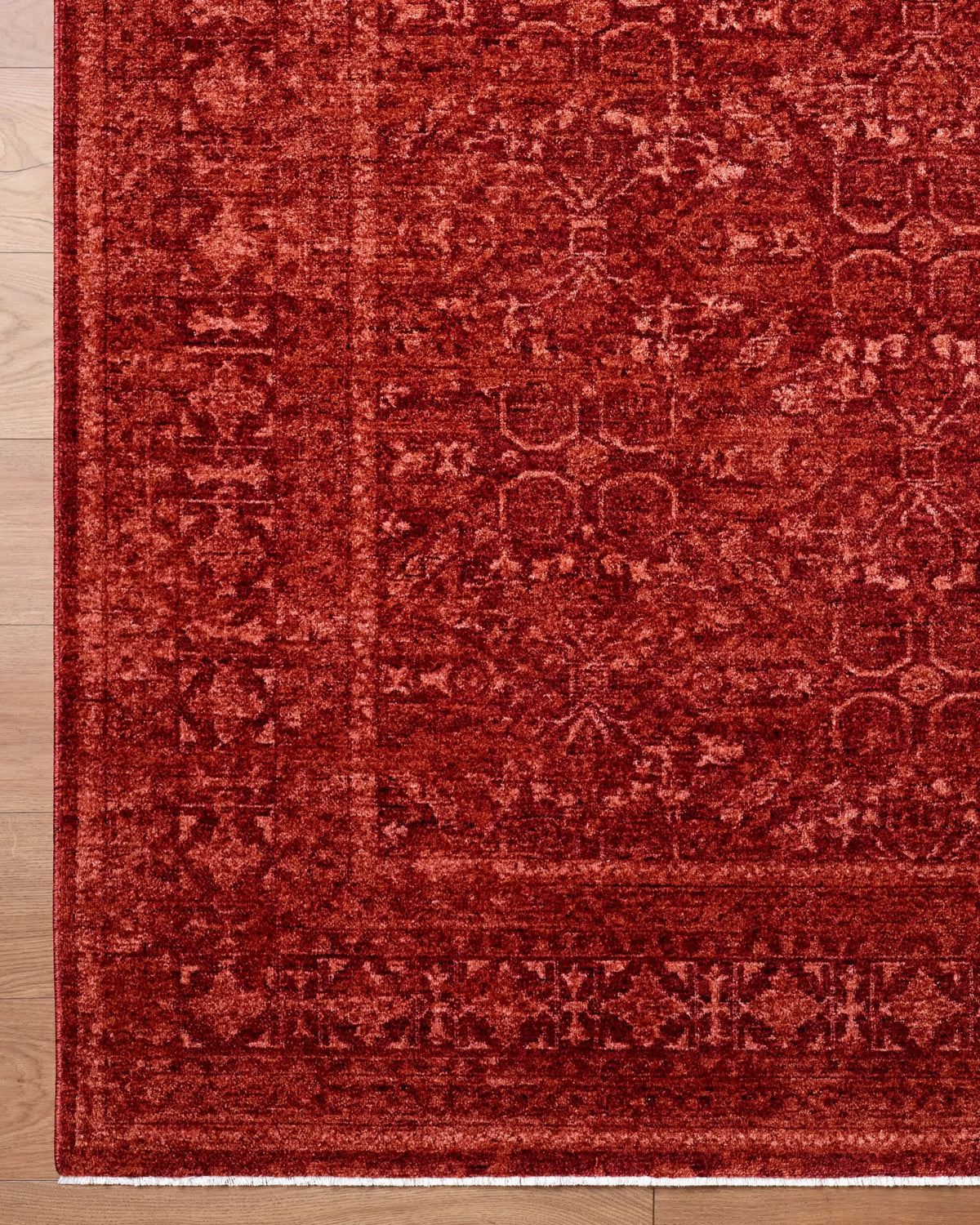 Cyrus CYR-2301 Burgundy / Rust Area Rug by LIVABLISS