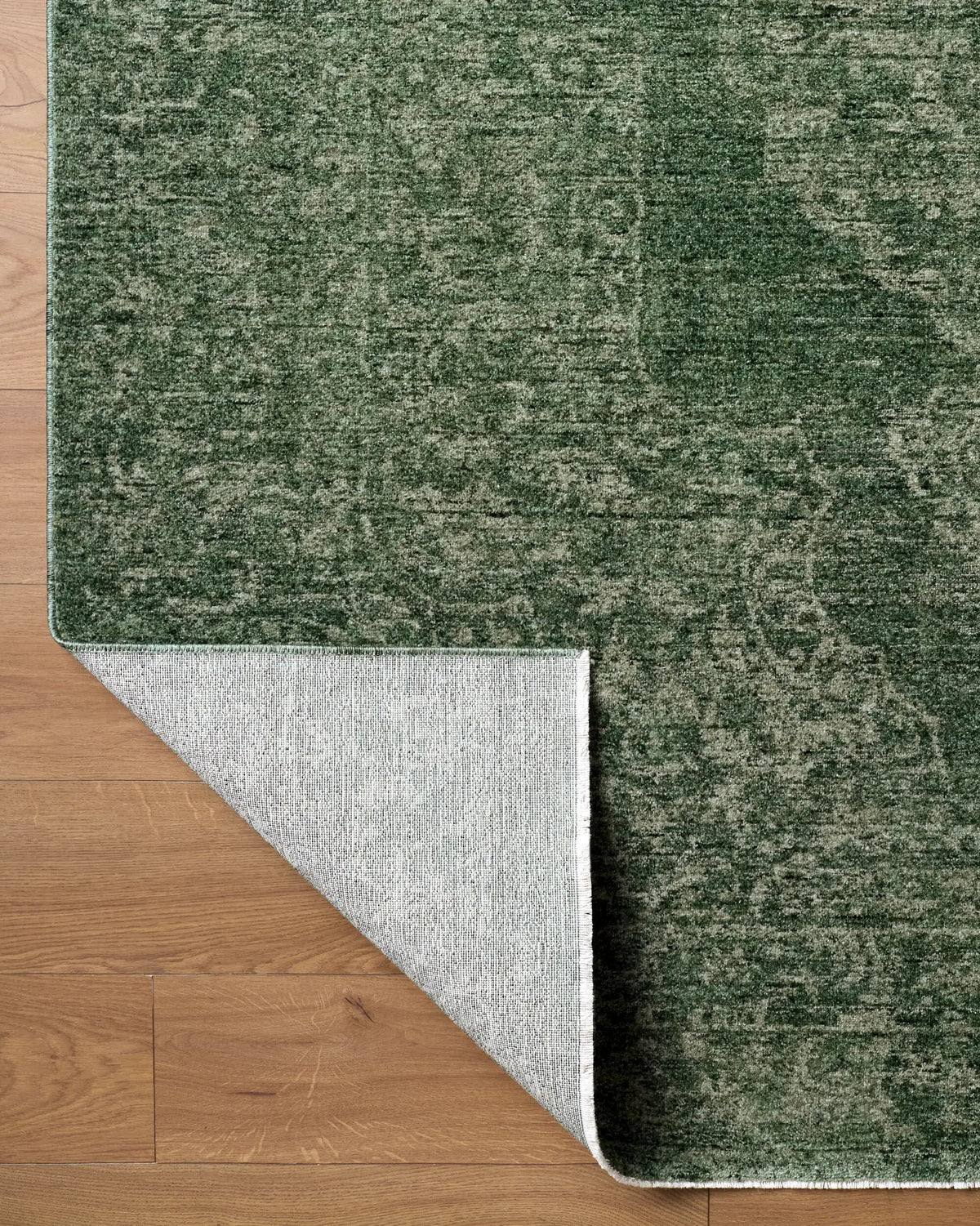 Cyrus CYR-2303 Sage Area Rug by LIVABLISS