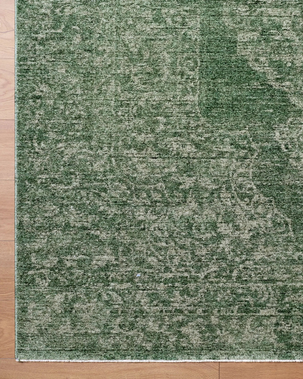 Cyrus CYR-2303 Sage Area Rug by LIVABLISS