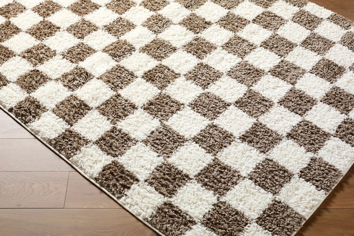 LIVABLISS Czechia CZE-2301 Charcoal Area Rug
