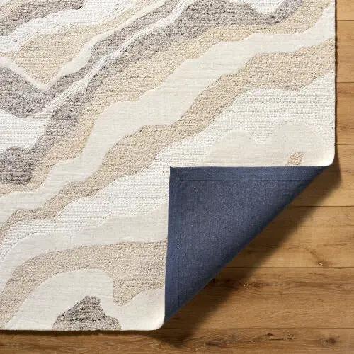 Divine DVN-2301 Ivory Area Rug by LIVABLISS
