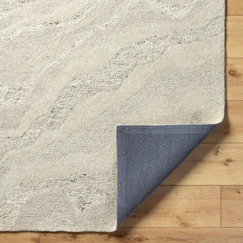 Divine DVN-2303 Ivory Area Rug by LIVABLISS