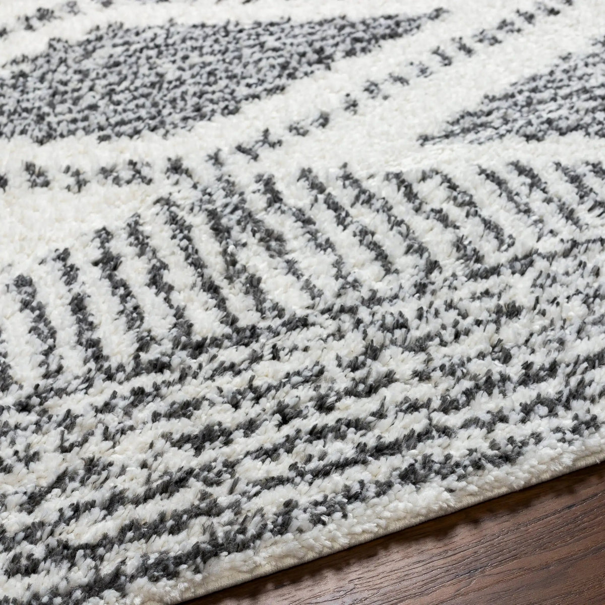 Deluxe Shag DXS-2309 Black Area Rug by LIVABLISS