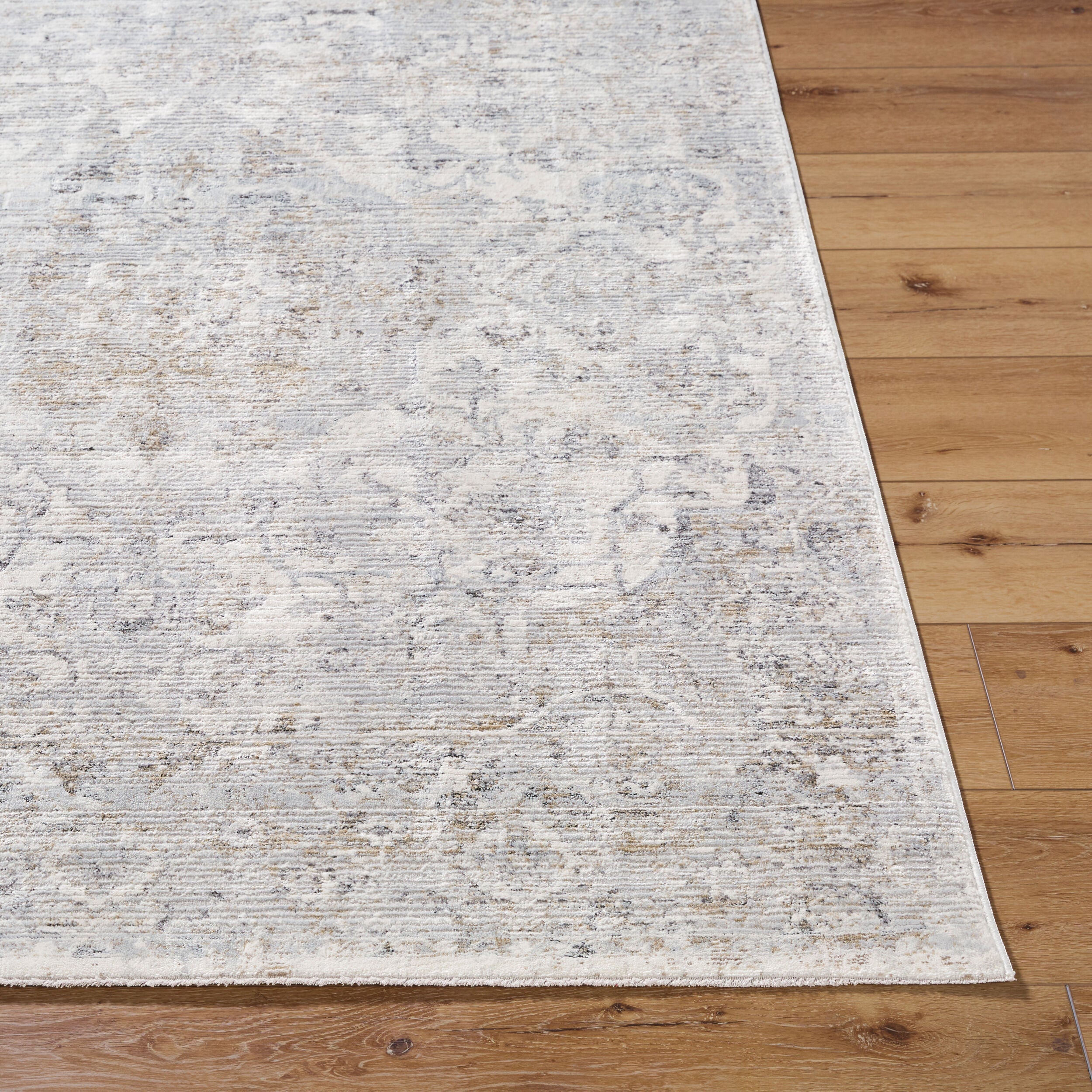 Surya Edmonton EDO-2305 Light Gray Area Rug by LIVABLISS