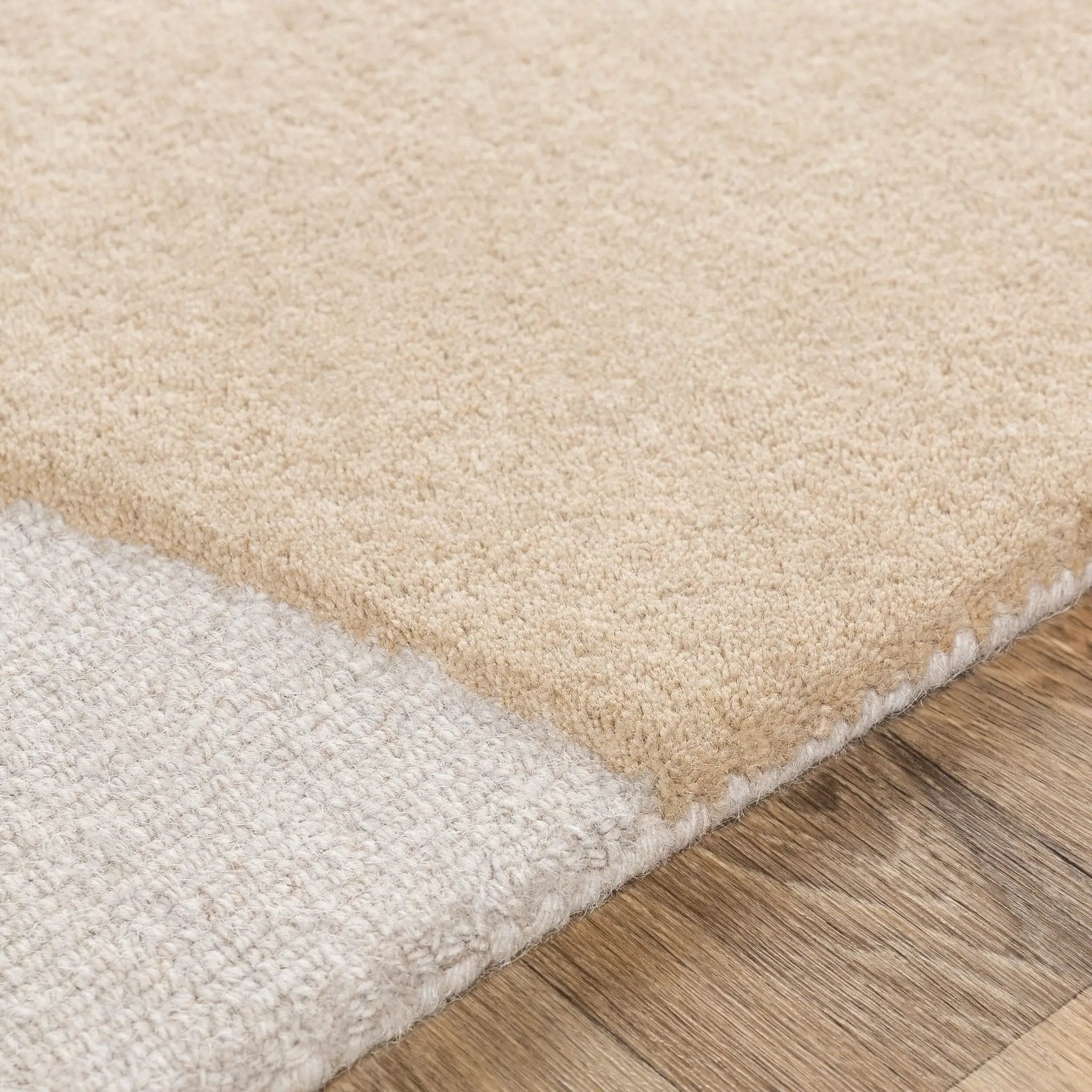 Emma EMM-2300 Rust Area Rug by LIVABLISS