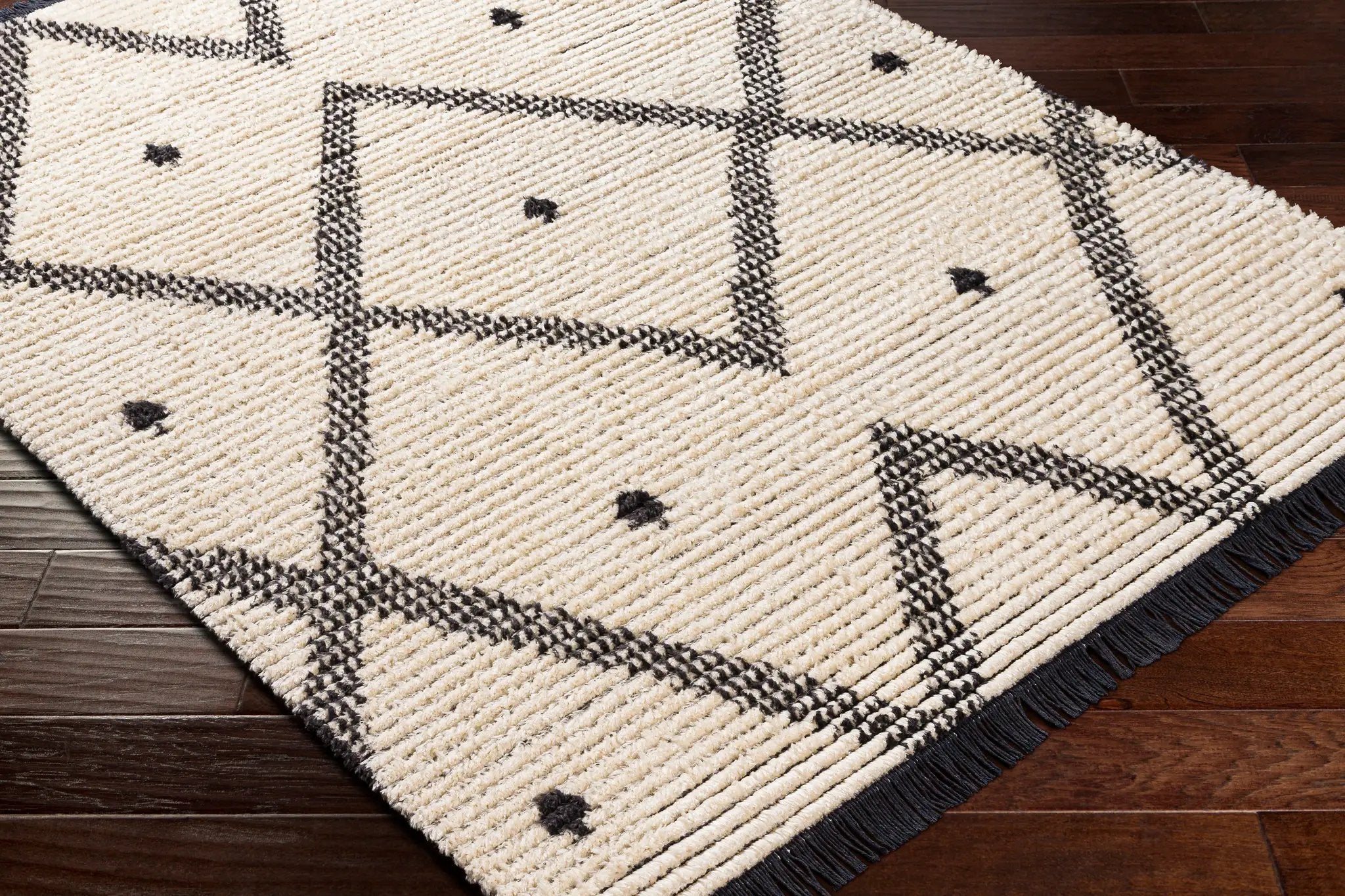 Enzo ENZ-2301 Black Area Rug by LIVABLISS