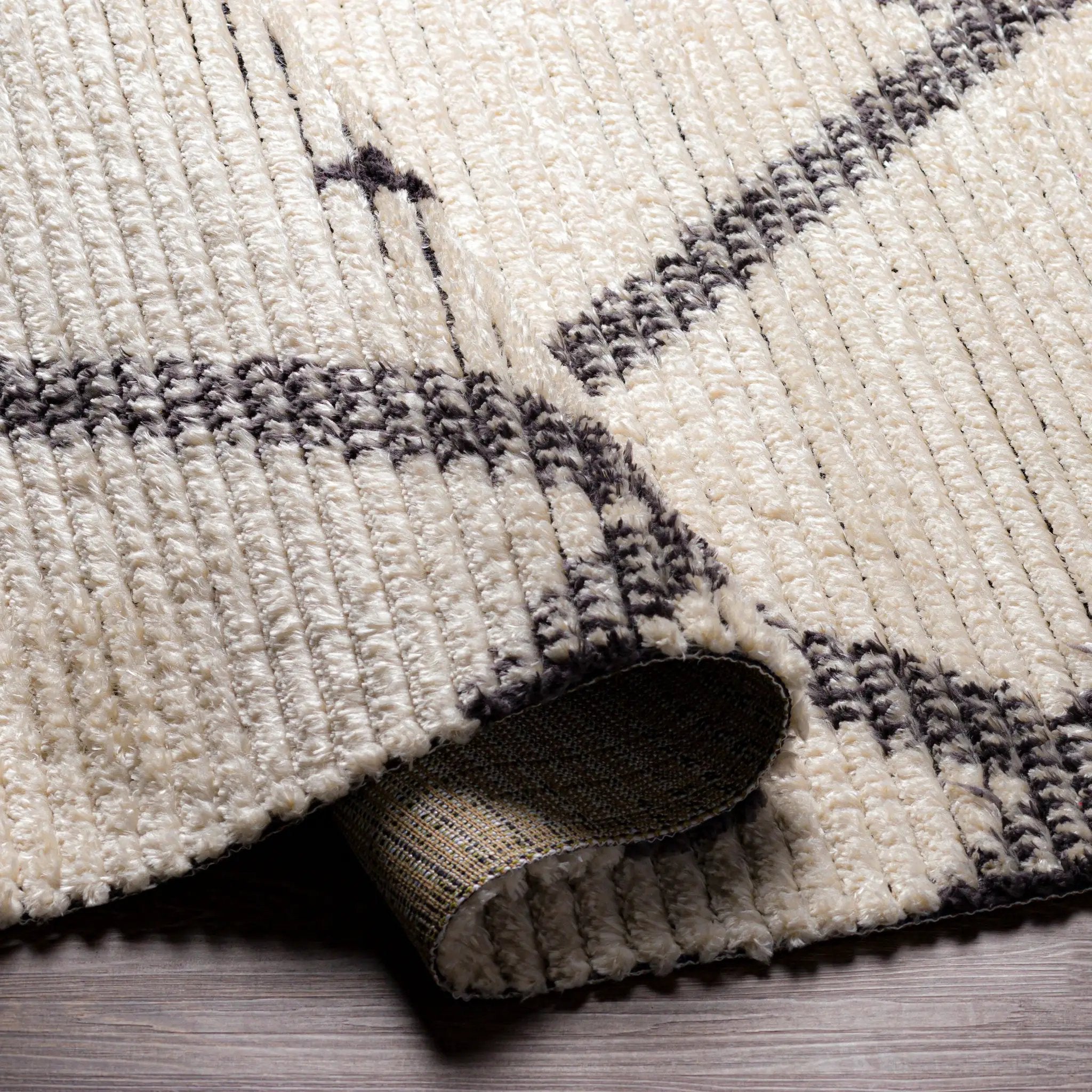 Enzo ENZ-2301 Black Area Rug by LIVABLISS