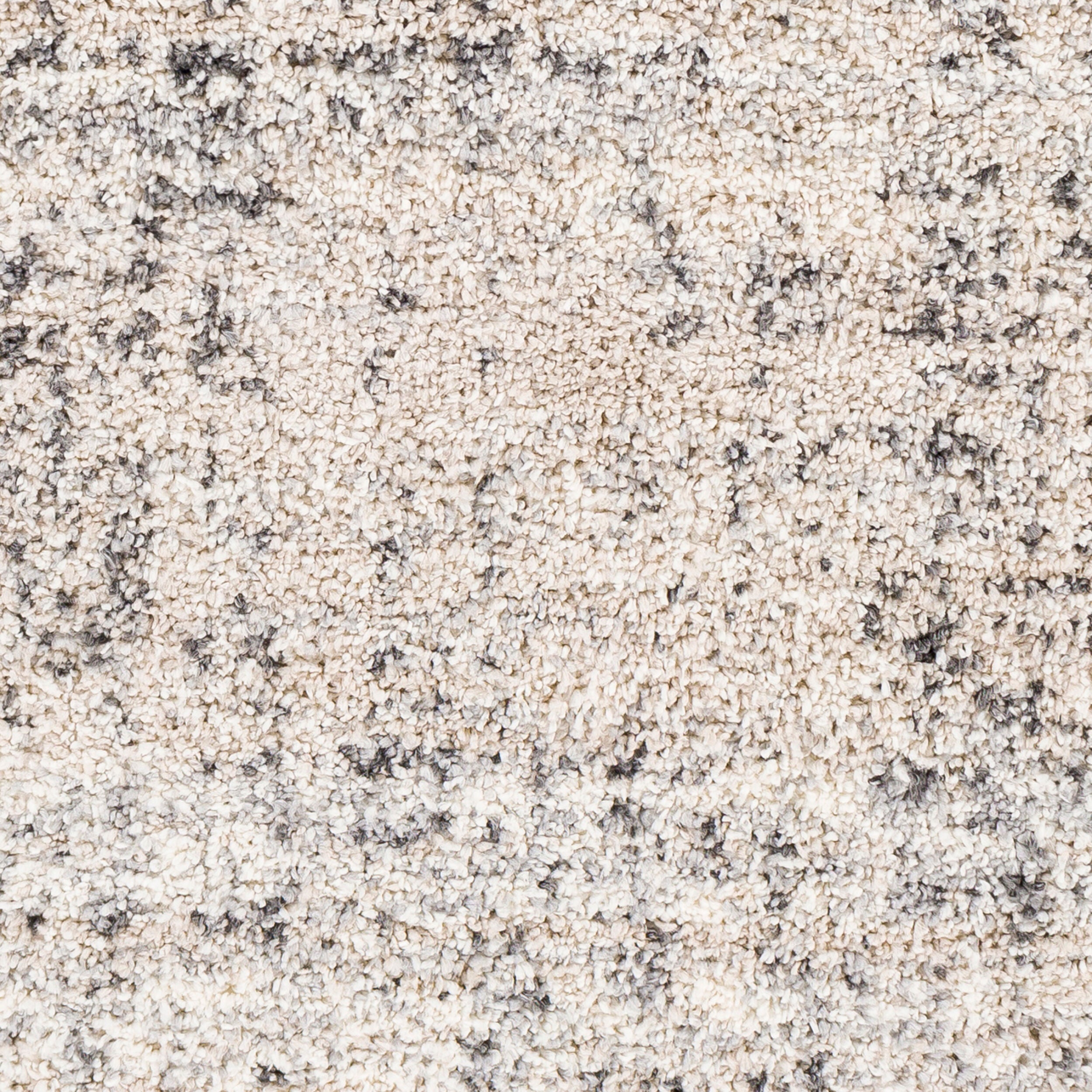 Surya Eskimo Shag ESG-2300 Black Area Rug by LIVABLISS