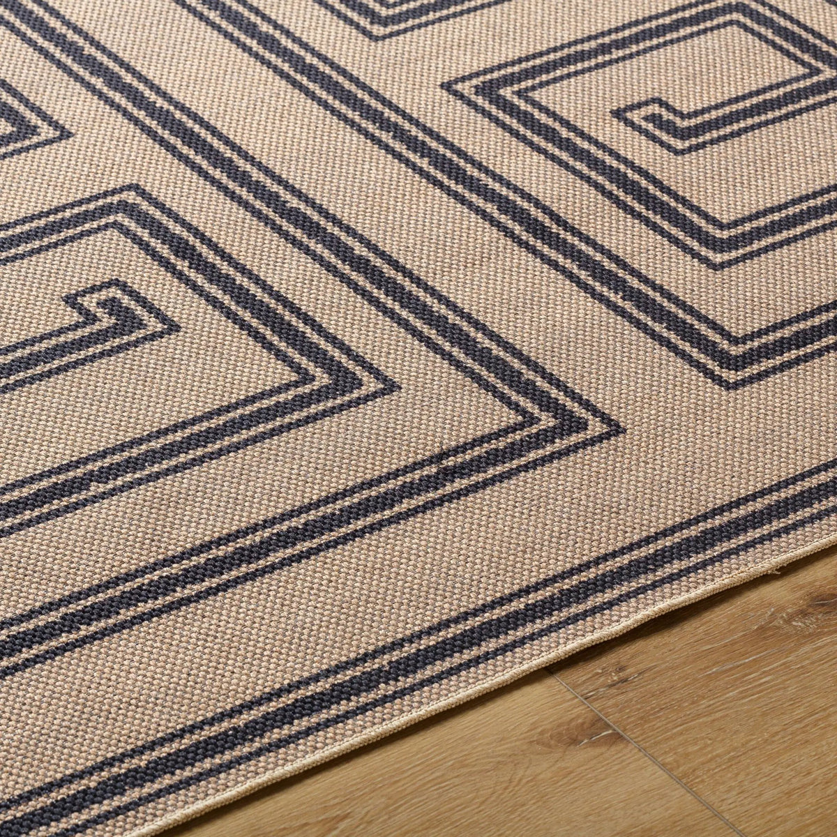 Ez Jute EZT-2307 Light-Brown Area Rug by LIVABLISS