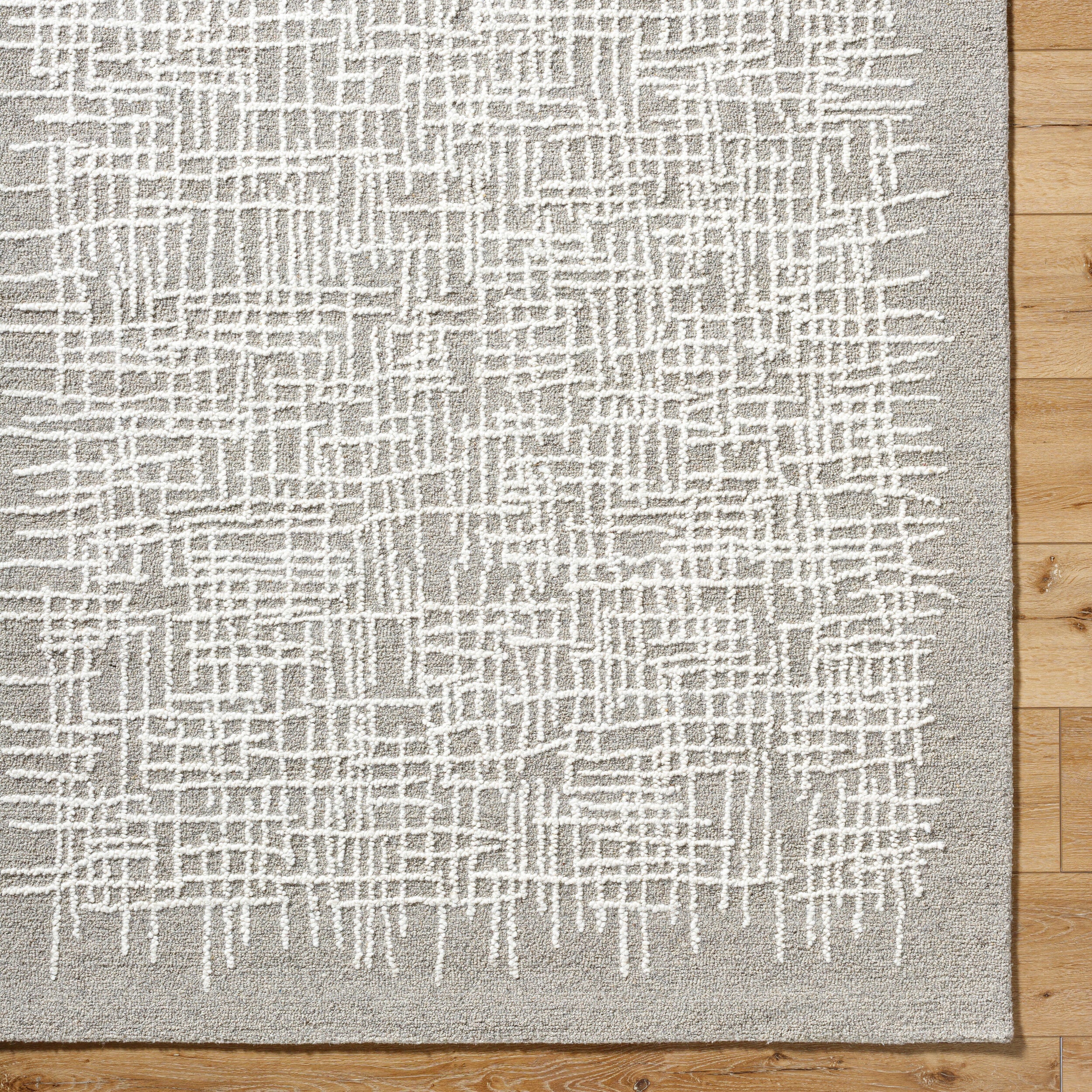 Surya Falcao FAC-2300 Taupe Area Rug by LIVABLISS