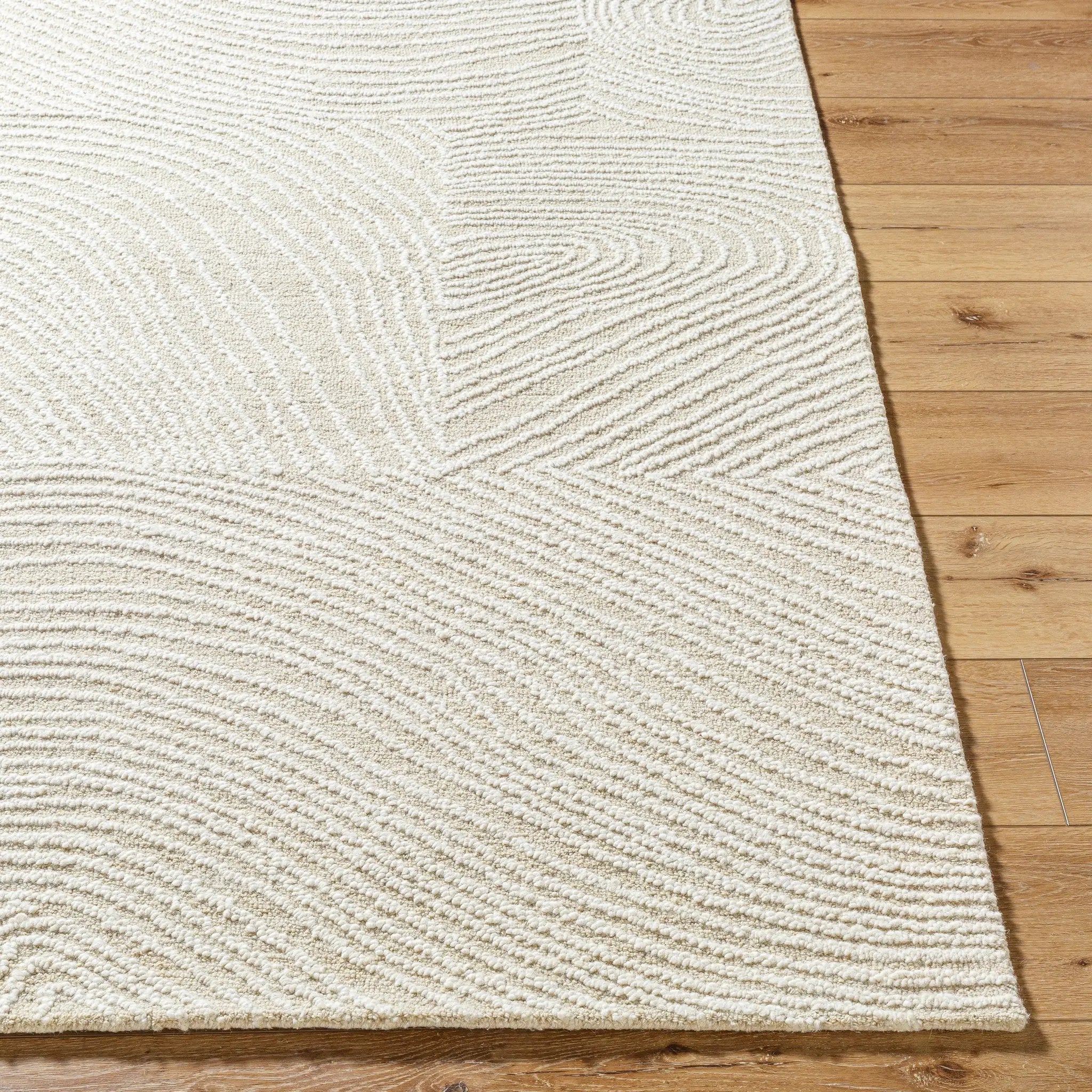 Falcao FAC-2301 Ivory Area Rug by LIVABLISS