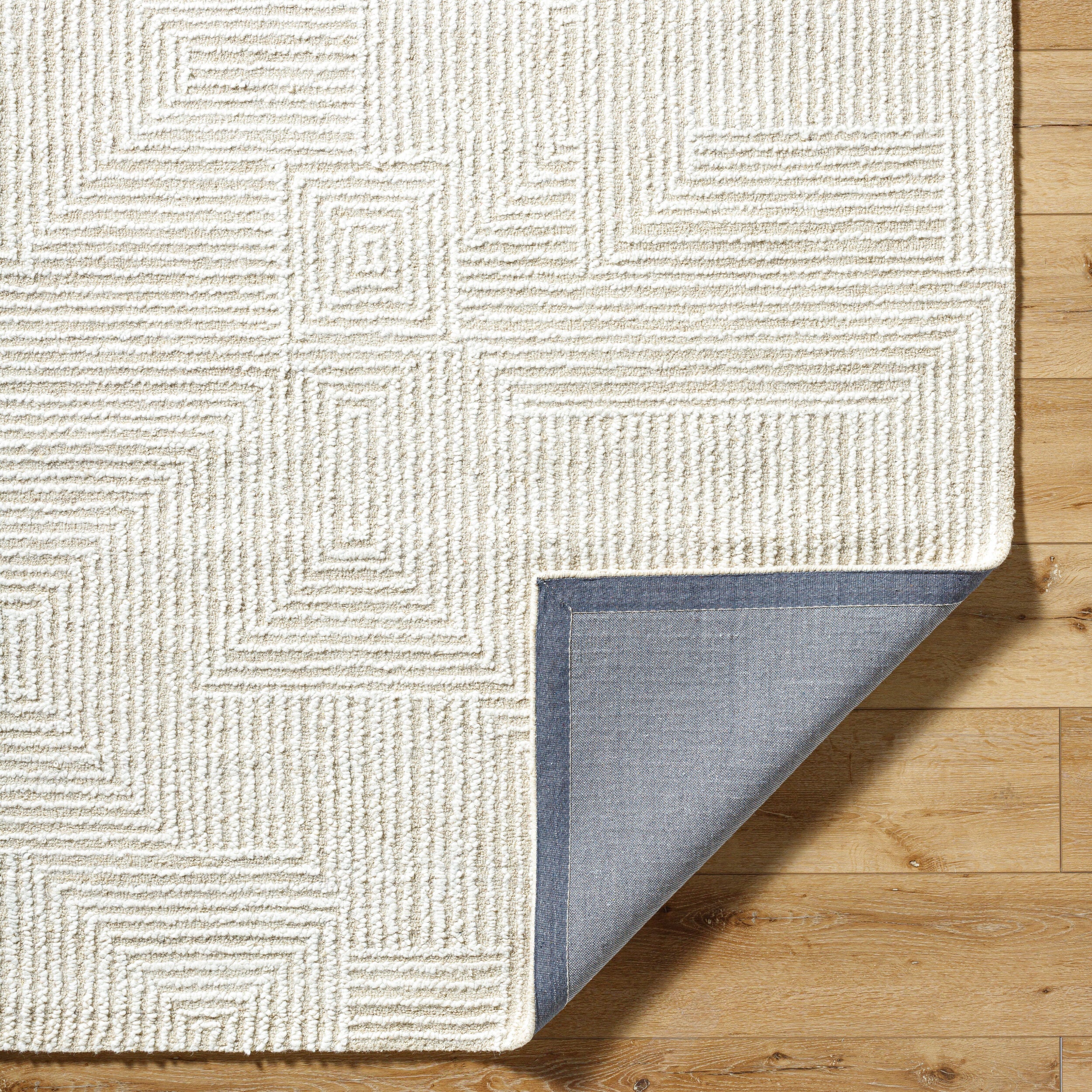 Surya Falcao FAC-2304 Ivory Area Rug by LIVABLISS