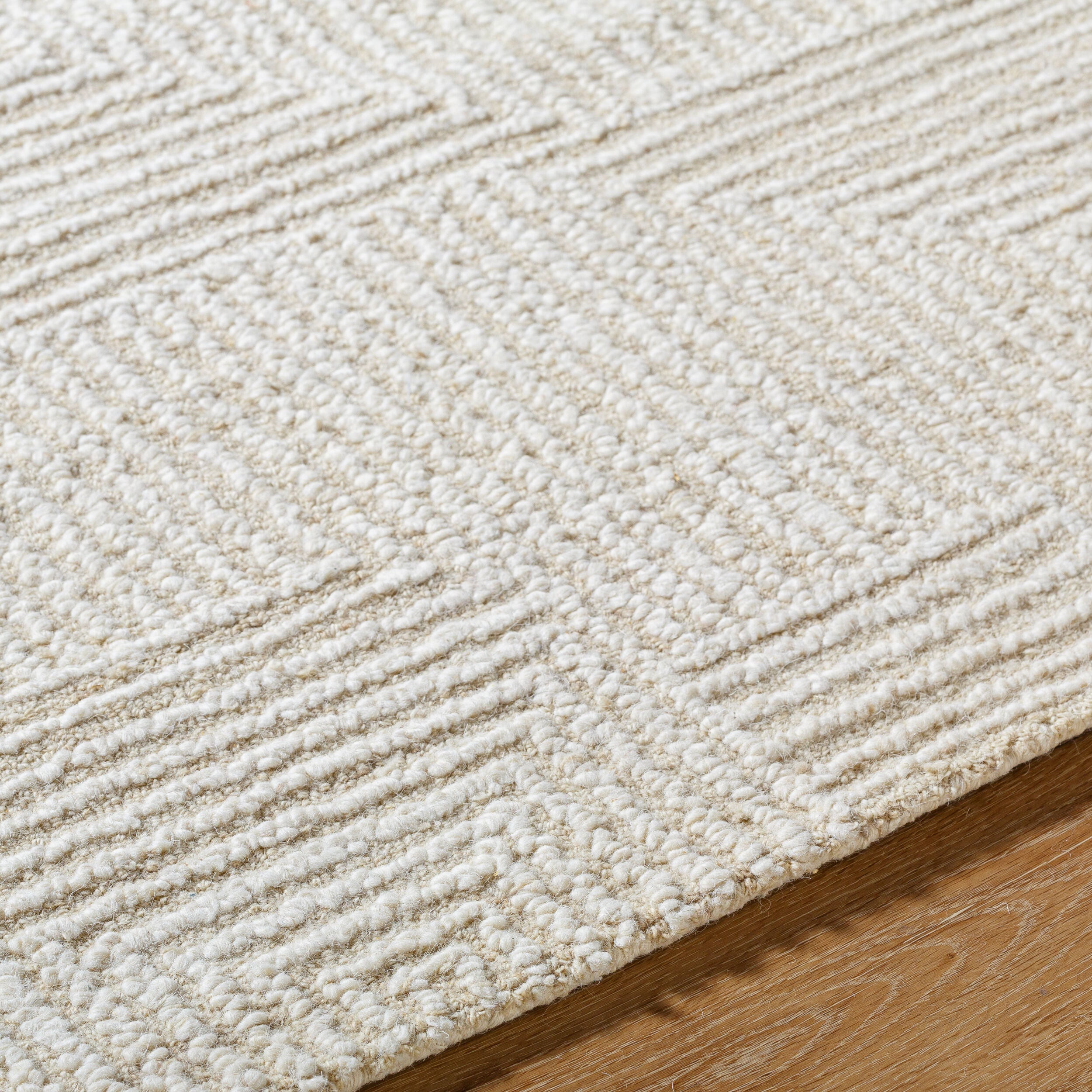 Surya Falcao FAC-2304 Ivory Area Rug by LIVABLISS