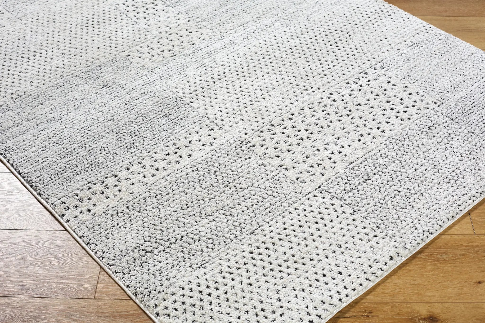 Architect GAAR-2302 Ivory / Black Area Rug by Galey Alix x LIVABLISS
