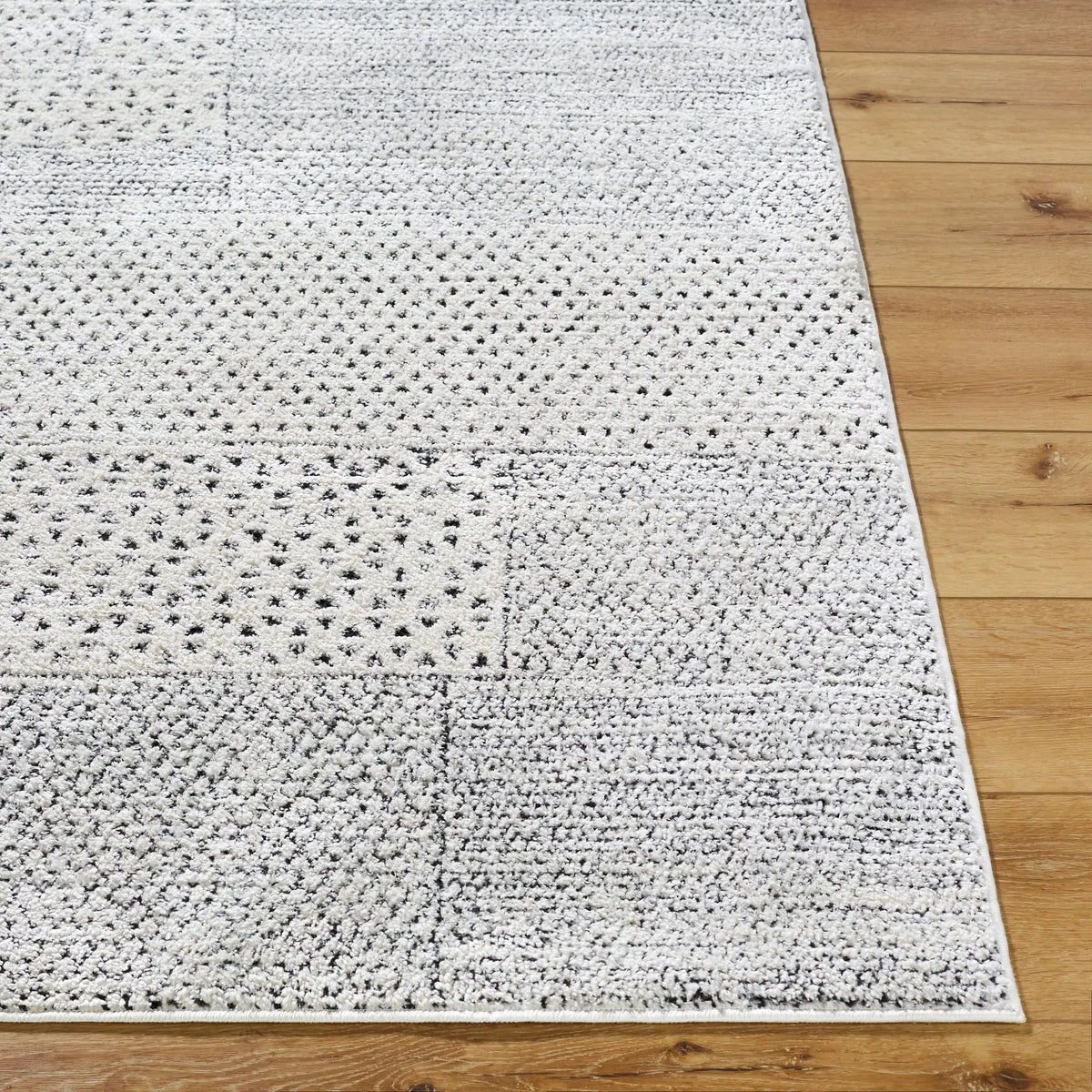 Architect GAAR-2302 Ivory / Black Area Rug by Galey Alix x LIVABLISS