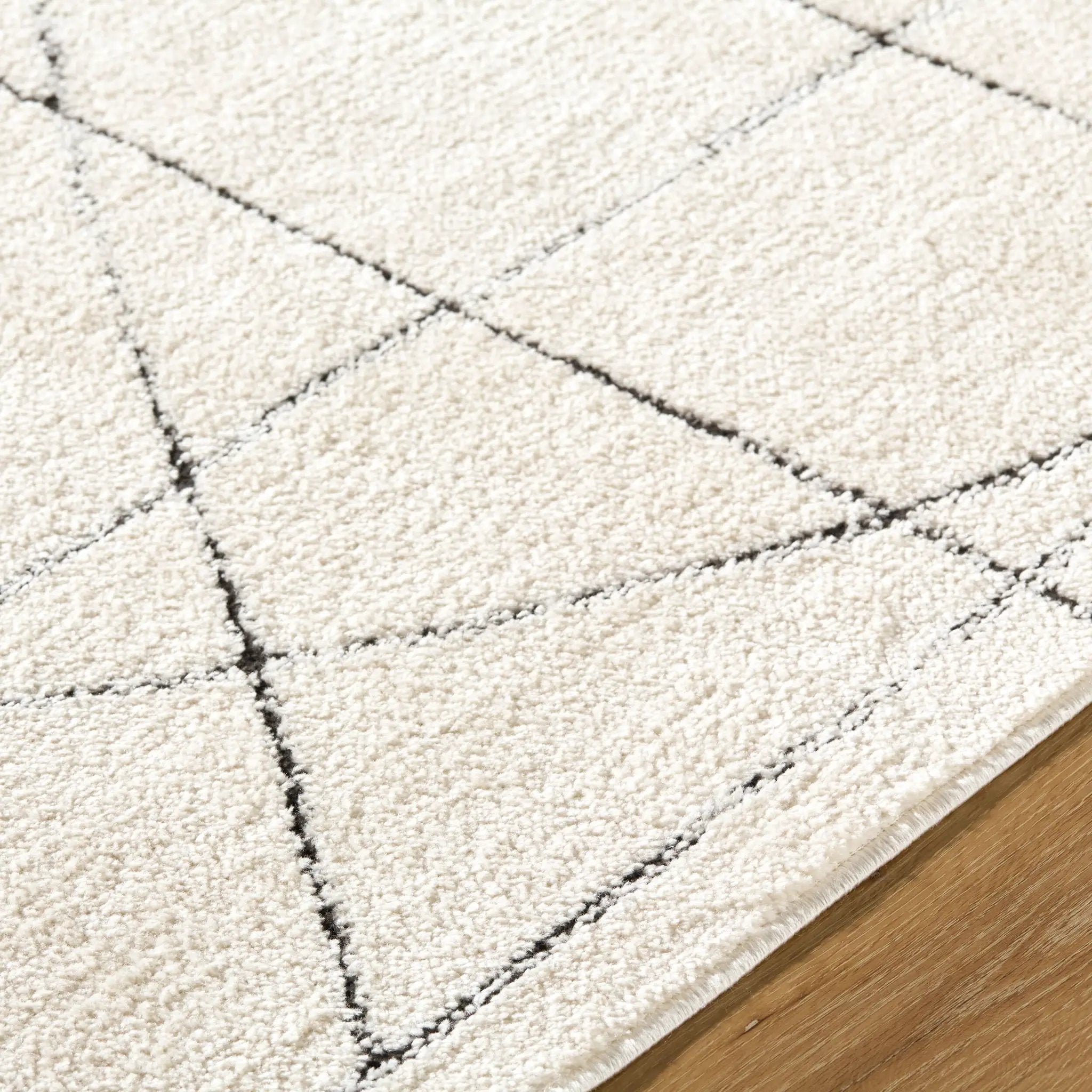 Architect GAAR-2304 Ivory / Black Area Rug by Galey Alix x LIVABLISS