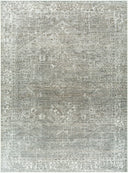 Galey Alix x Livabliss Collins Avenue GACA-2306 Brown Area Rug