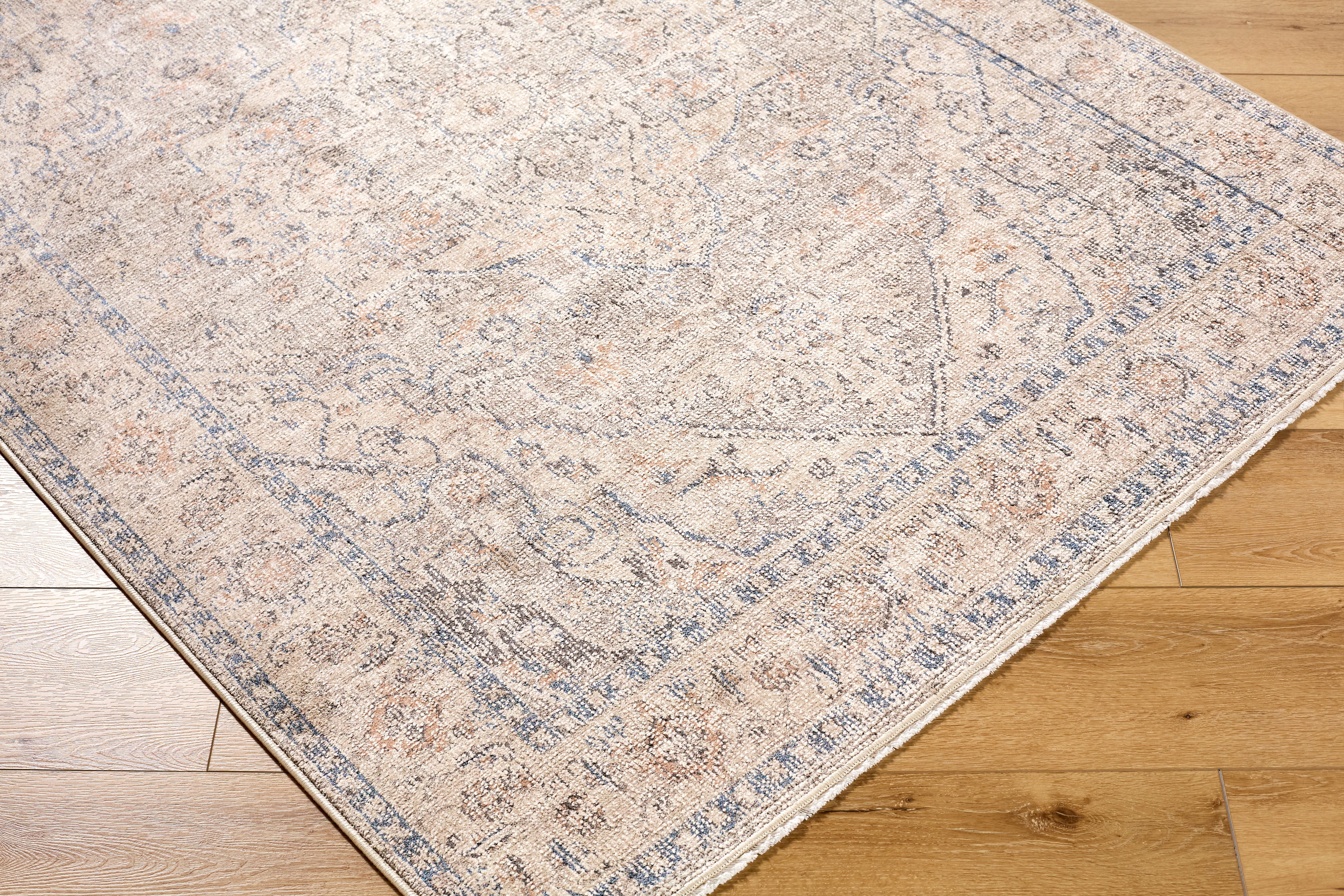 Galey Alix Maria Elena GADA-2300 Taupe Area Rug by LIVABLISS