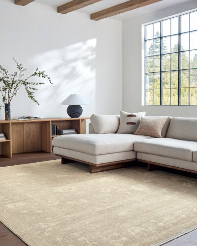 Galey Alix x LIVABLISS Fetscher GAHU-2302 Light Brown Area Rug