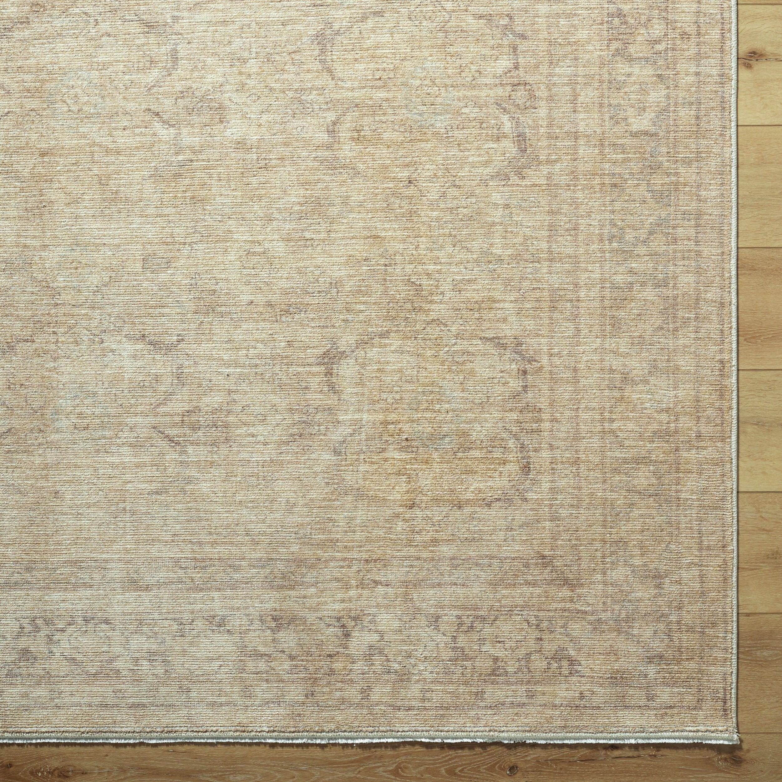 Galey Alix x Livabliss Fetscher GAHU-2304 Brown Area Rug