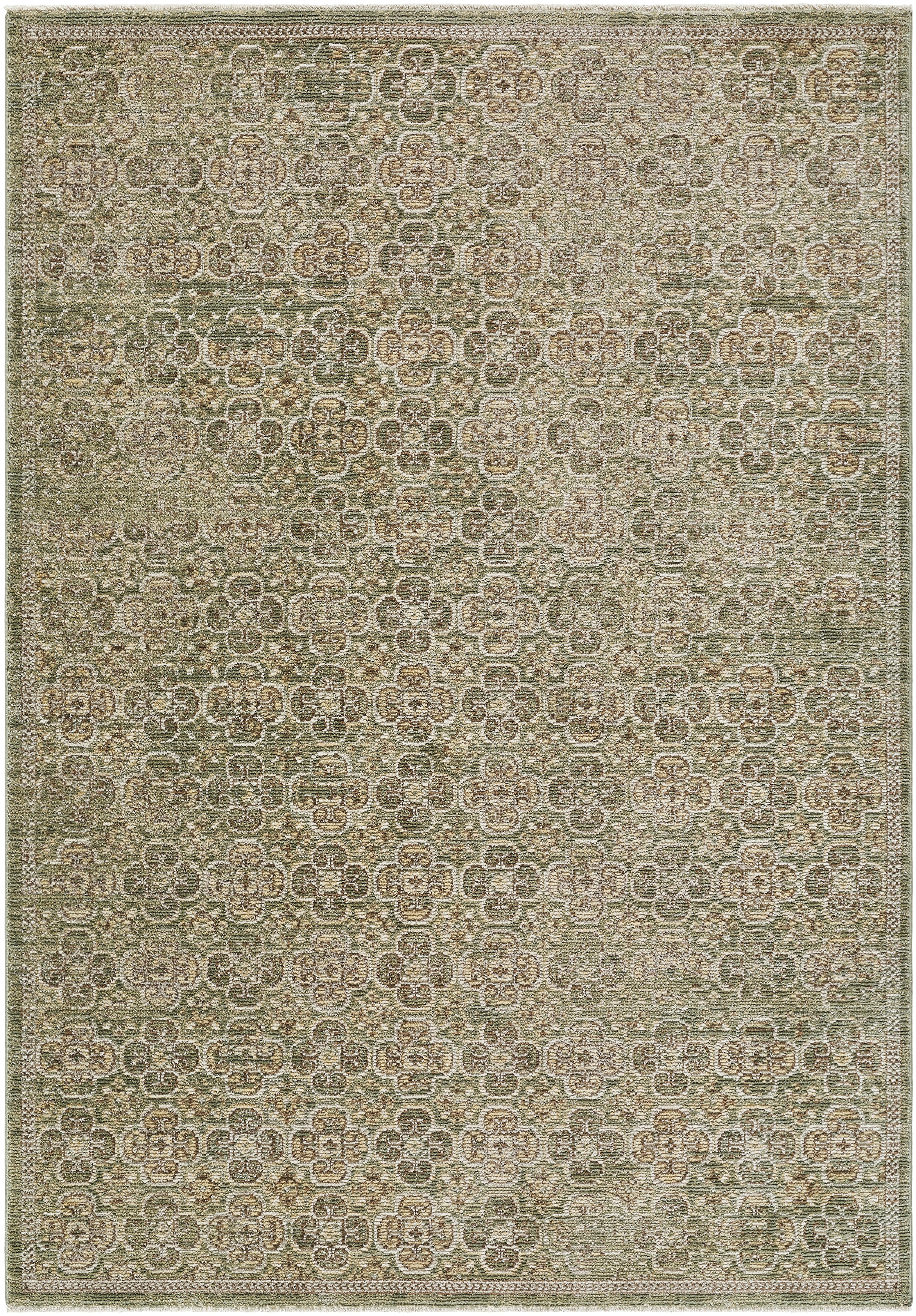 Galey Alix Myrtle Avenue GAMY-2301 Olive Area Rug by LIVABLISS
