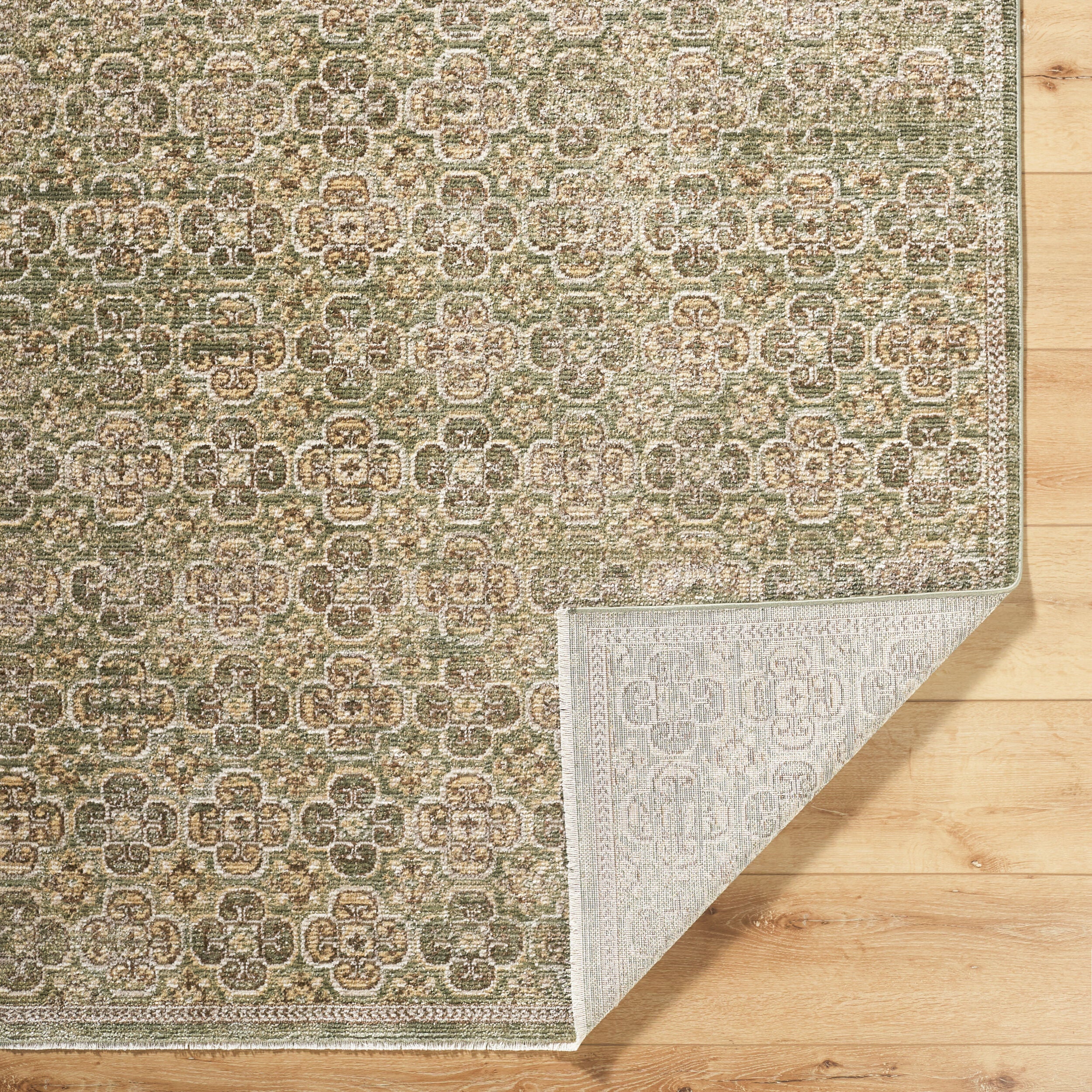 Galey Alix Myrtle Avenue GAMY-2301 Olive Area Rug by LIVABLISS