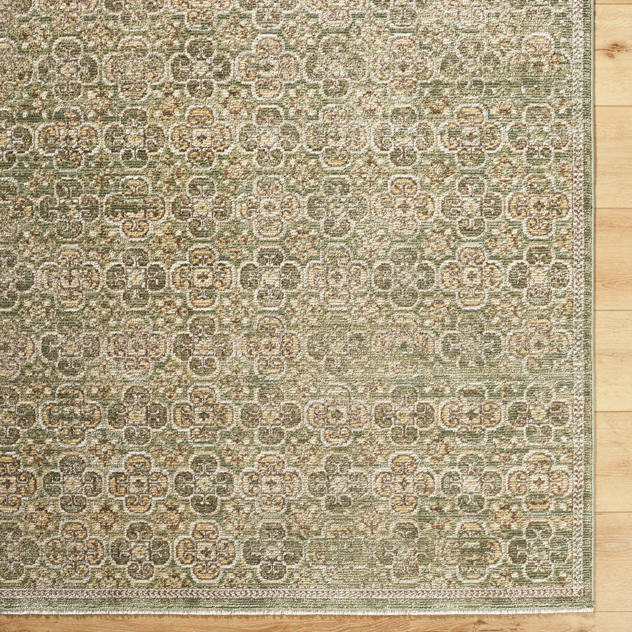 Galey Alix Myrtle Avenue GAMY-2301 Olive Area Rug by LIVABLISS