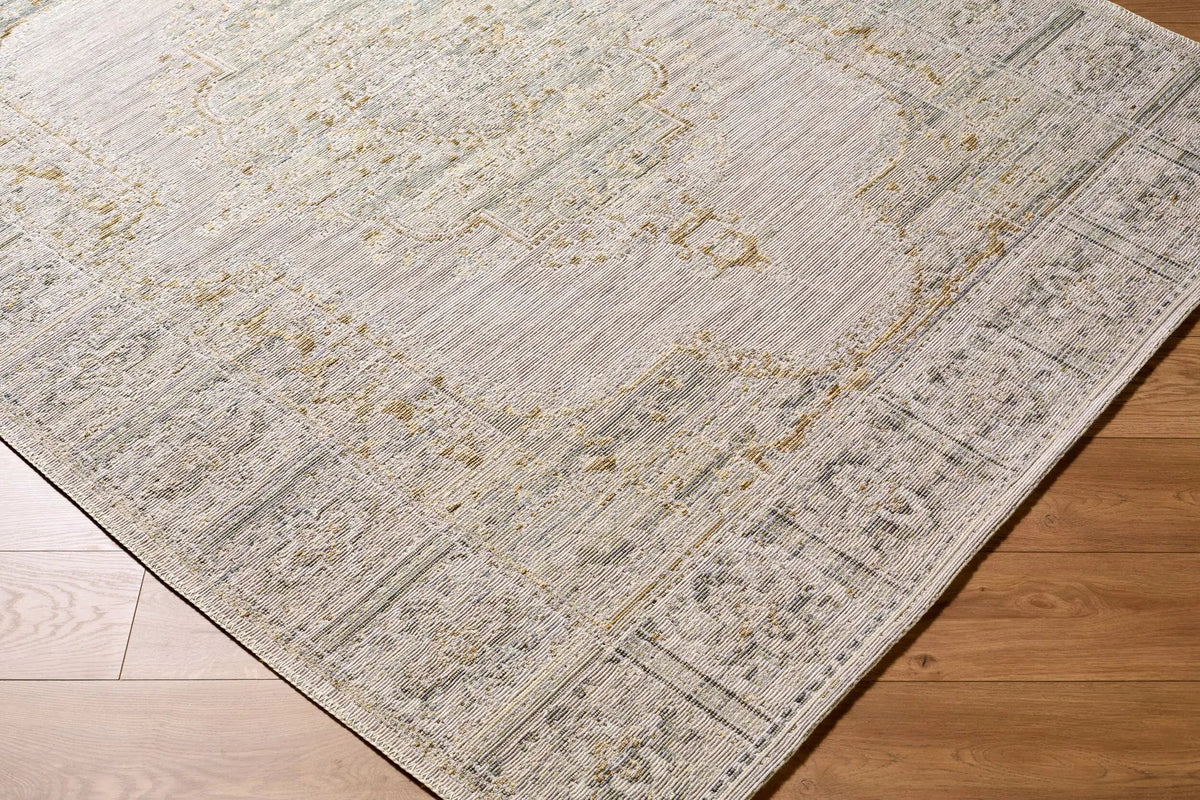 LIVABLISS Goblen GLN-2303 Pewter Area Rug