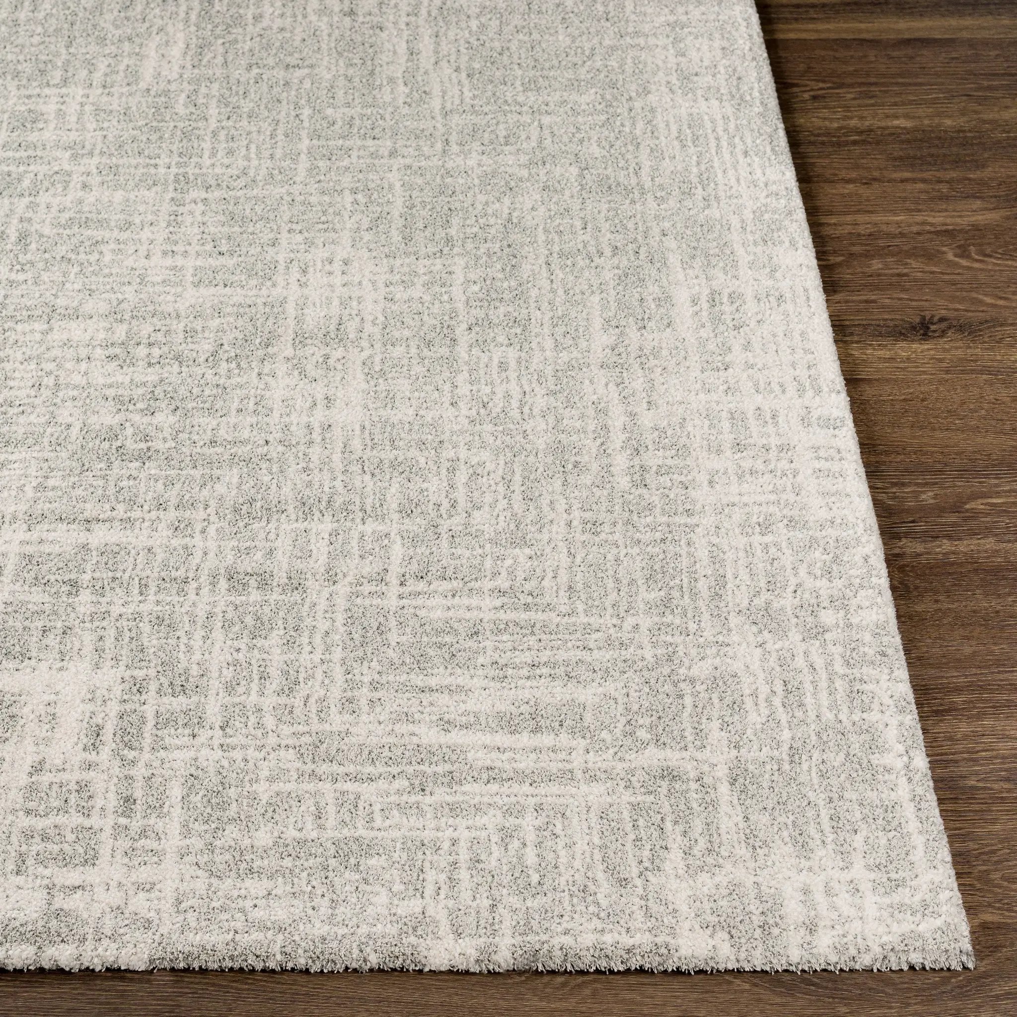 Gavic GVC-2308 Cream Area Rug by LIVABLISS