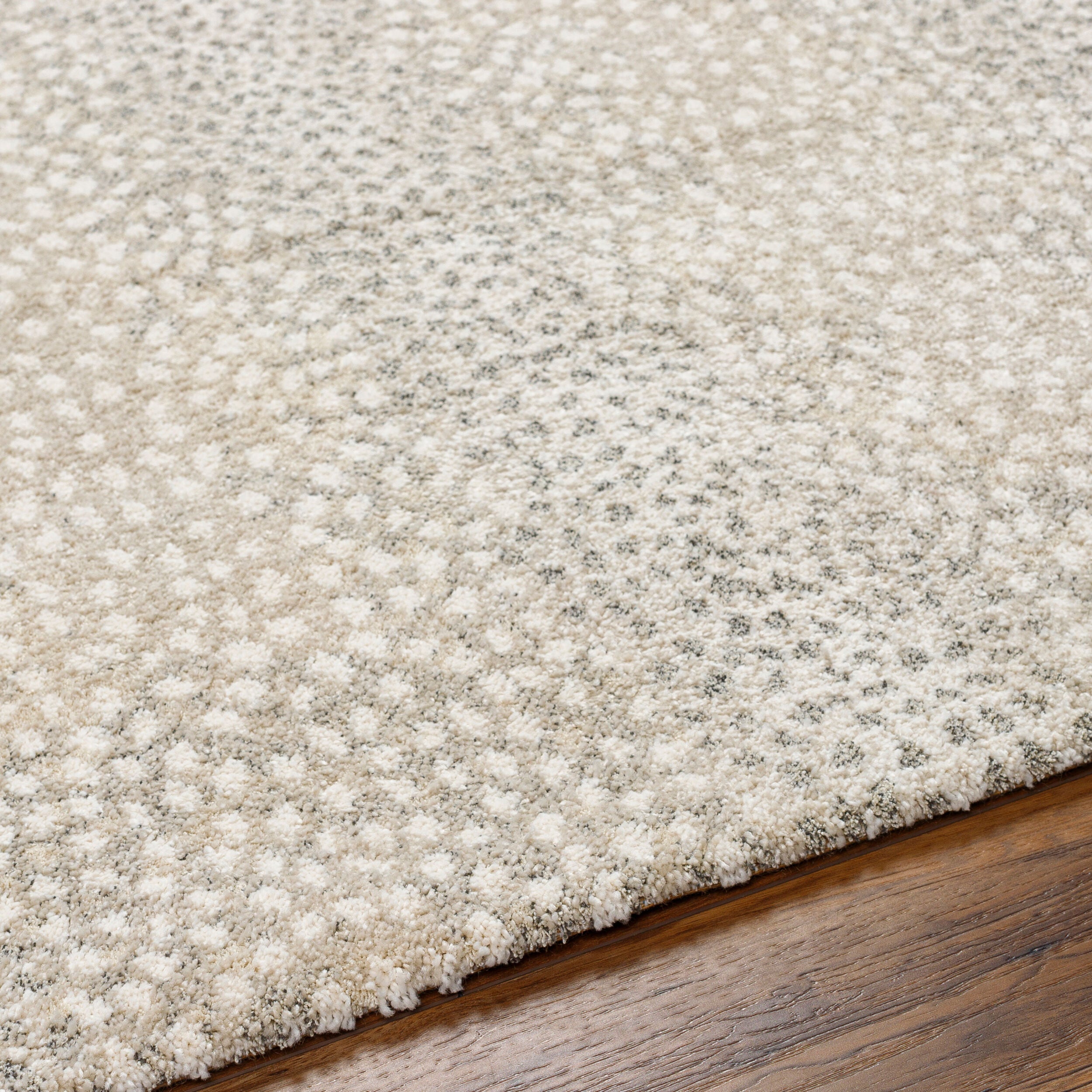 Surya Gavic GVC-2313 Cream Area Rug by LIVABLISS