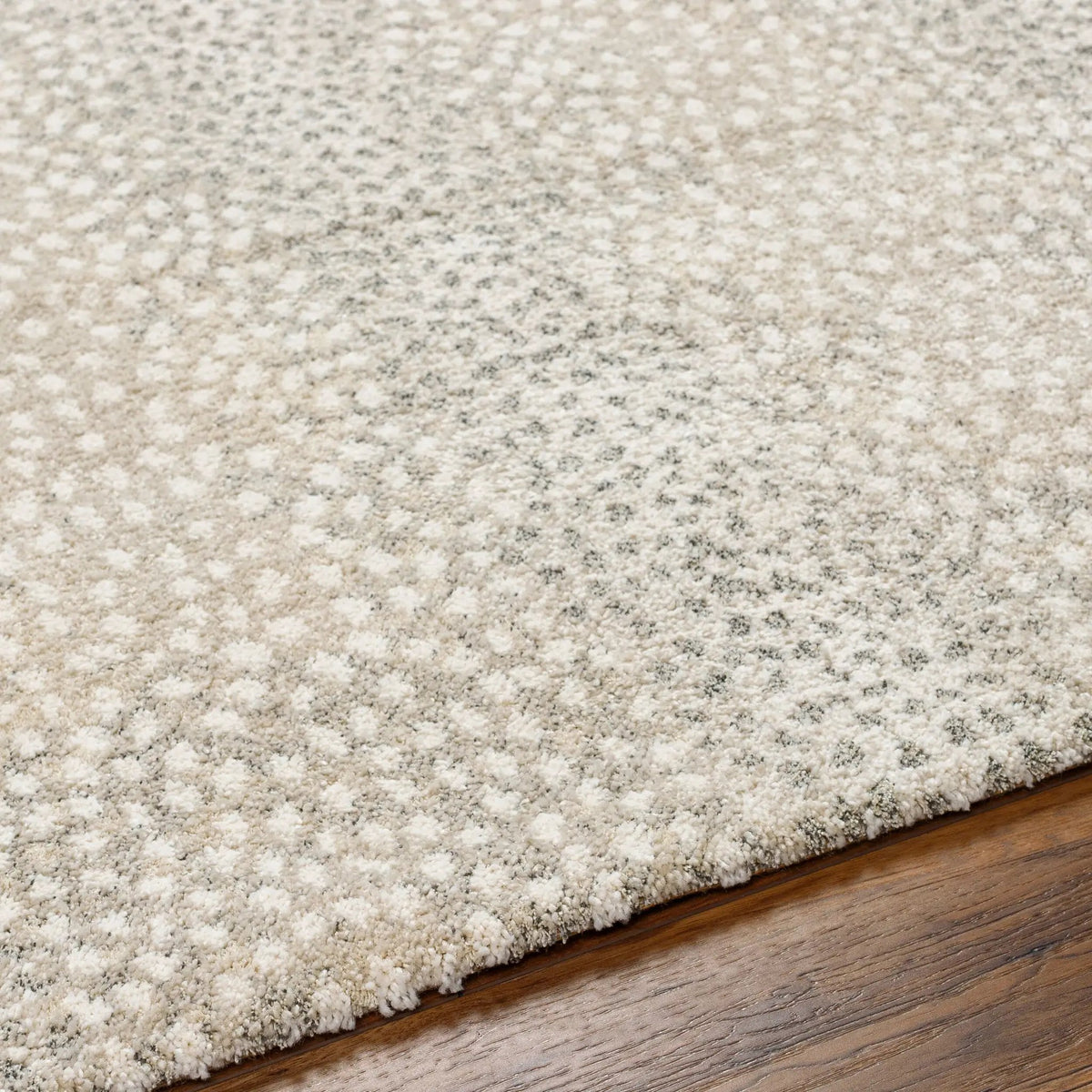 Gavic GVC-2313 Cream Area Rug by LIVABLISS