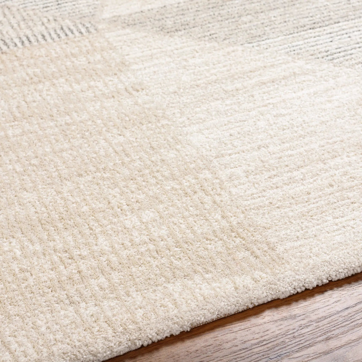 Gavic GVC-2320 Ivory Area Rug by LIVABLISS