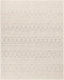Surya Hygge HYG-2306 Blue Area Rug by LIVABLISS
