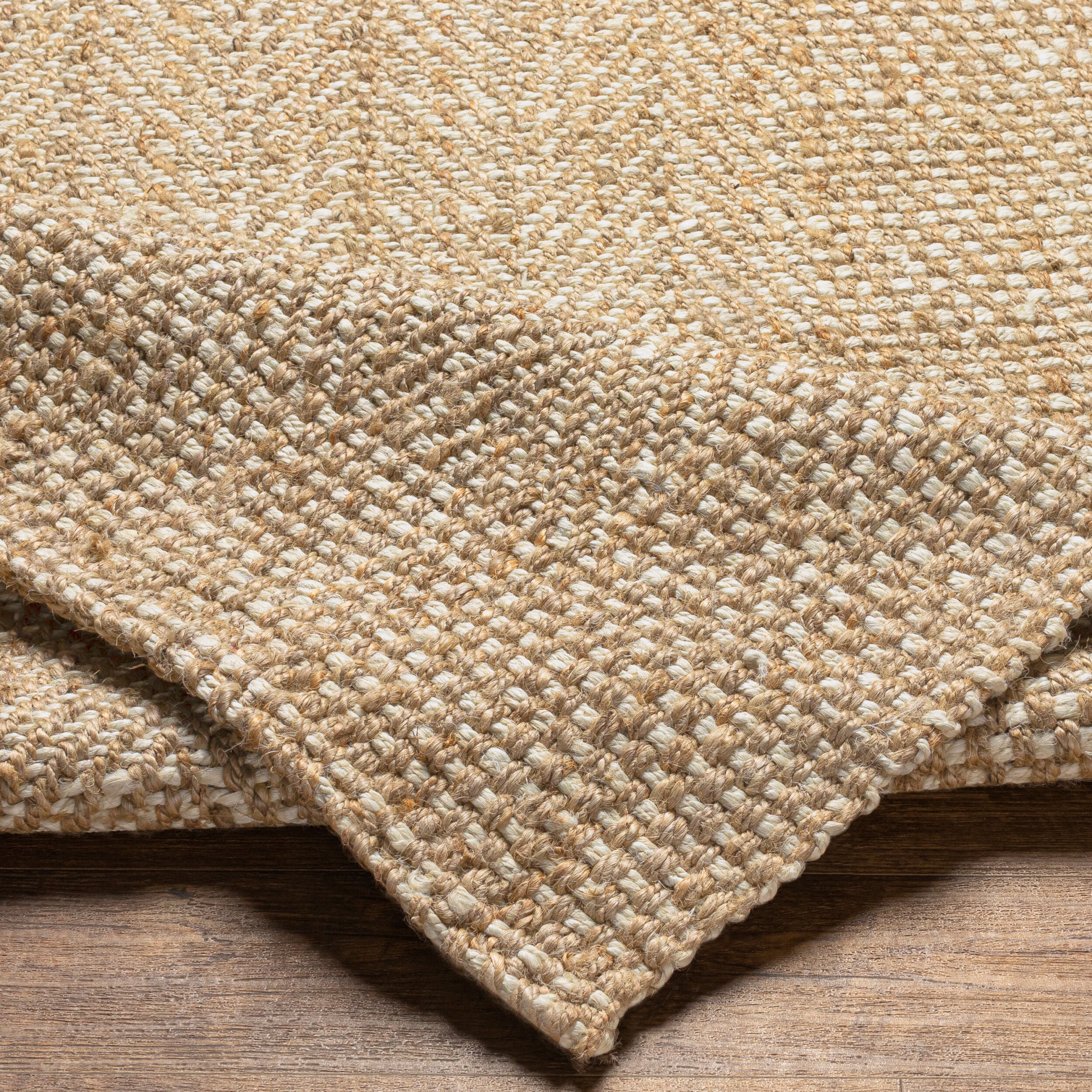 Surya Kerala KER-2300 Light Beige Area Rug by LIVABLISS