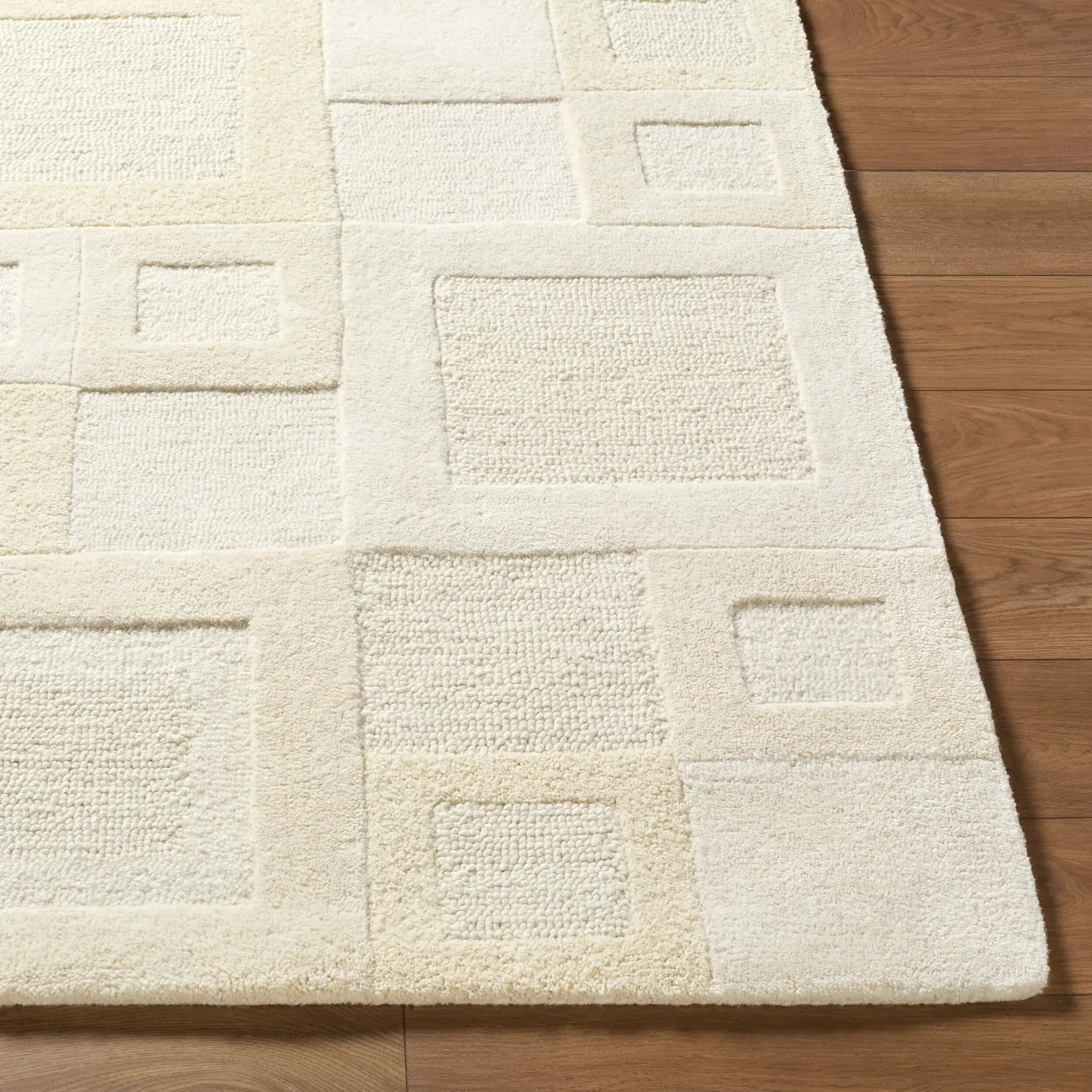 Kinsley KIS-2300 Ivory Area Rug by LIVABLISS
