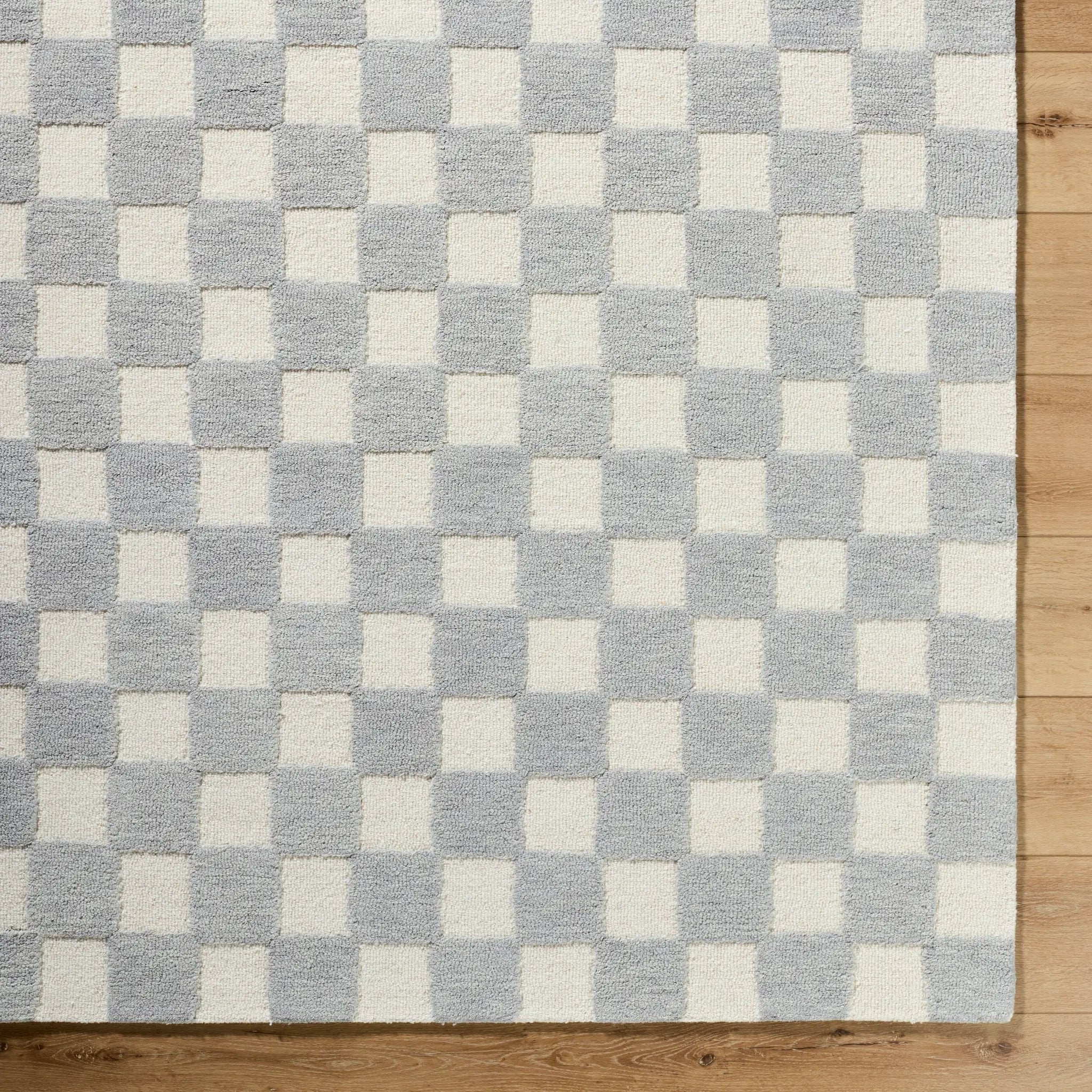 Klopp KPP-2300 Pewter Area Rug by LIVABLISS